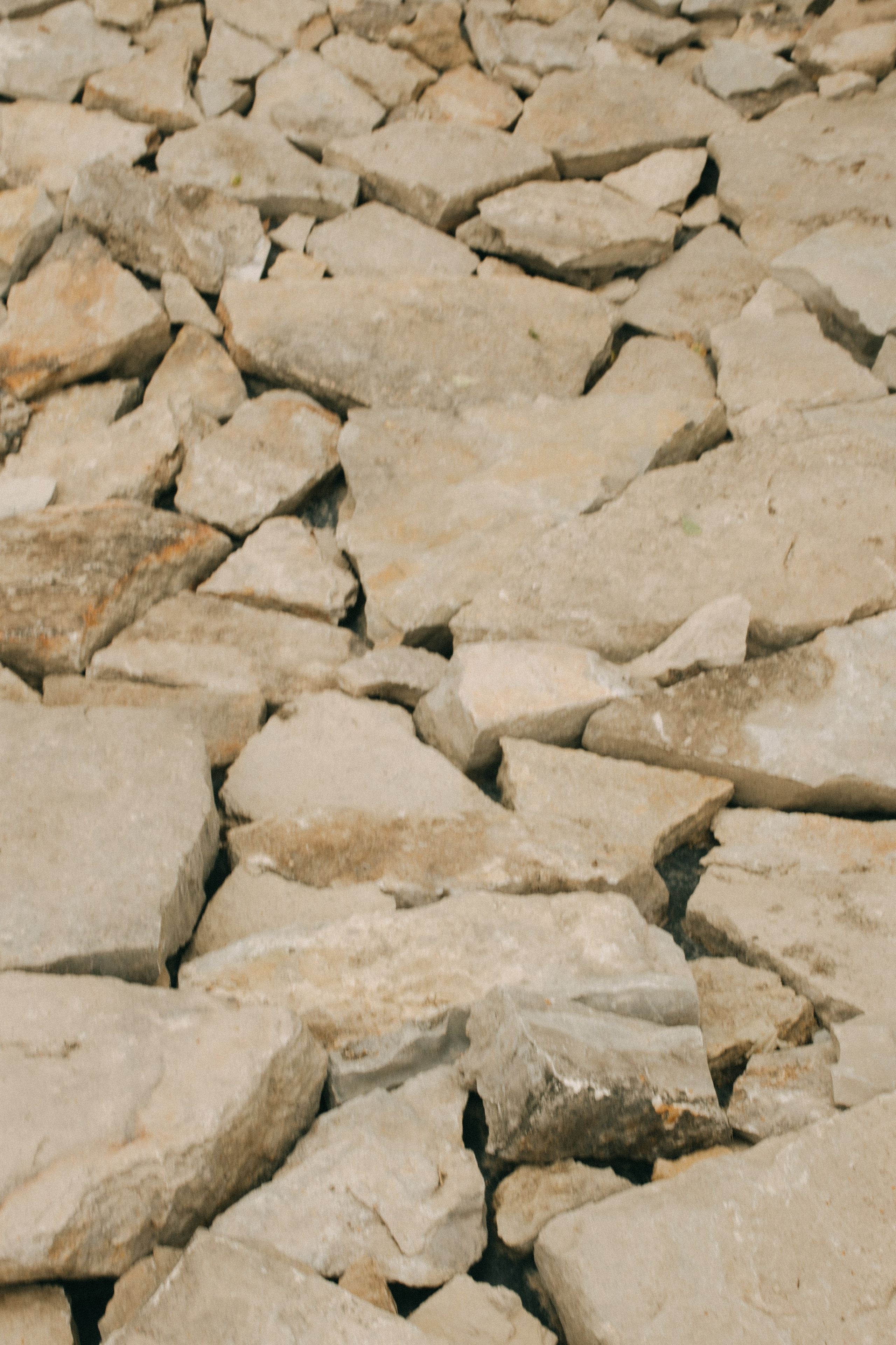 Фаиль и Вероника. Свадебный фотограф Казань