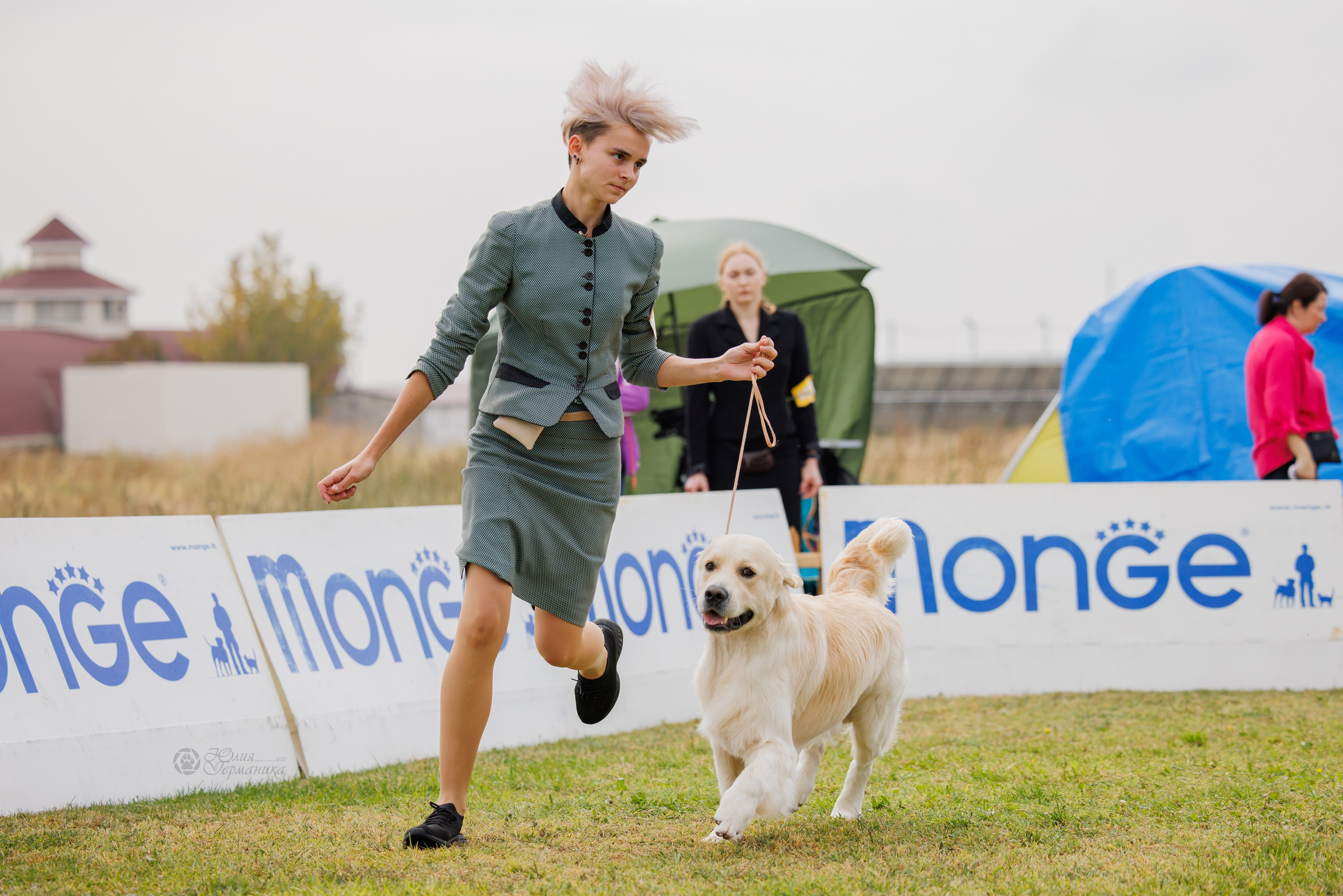 Армения,Ереван 3хCACIB 15-17.10.2024. Фотограф-анималист Юлия Германика