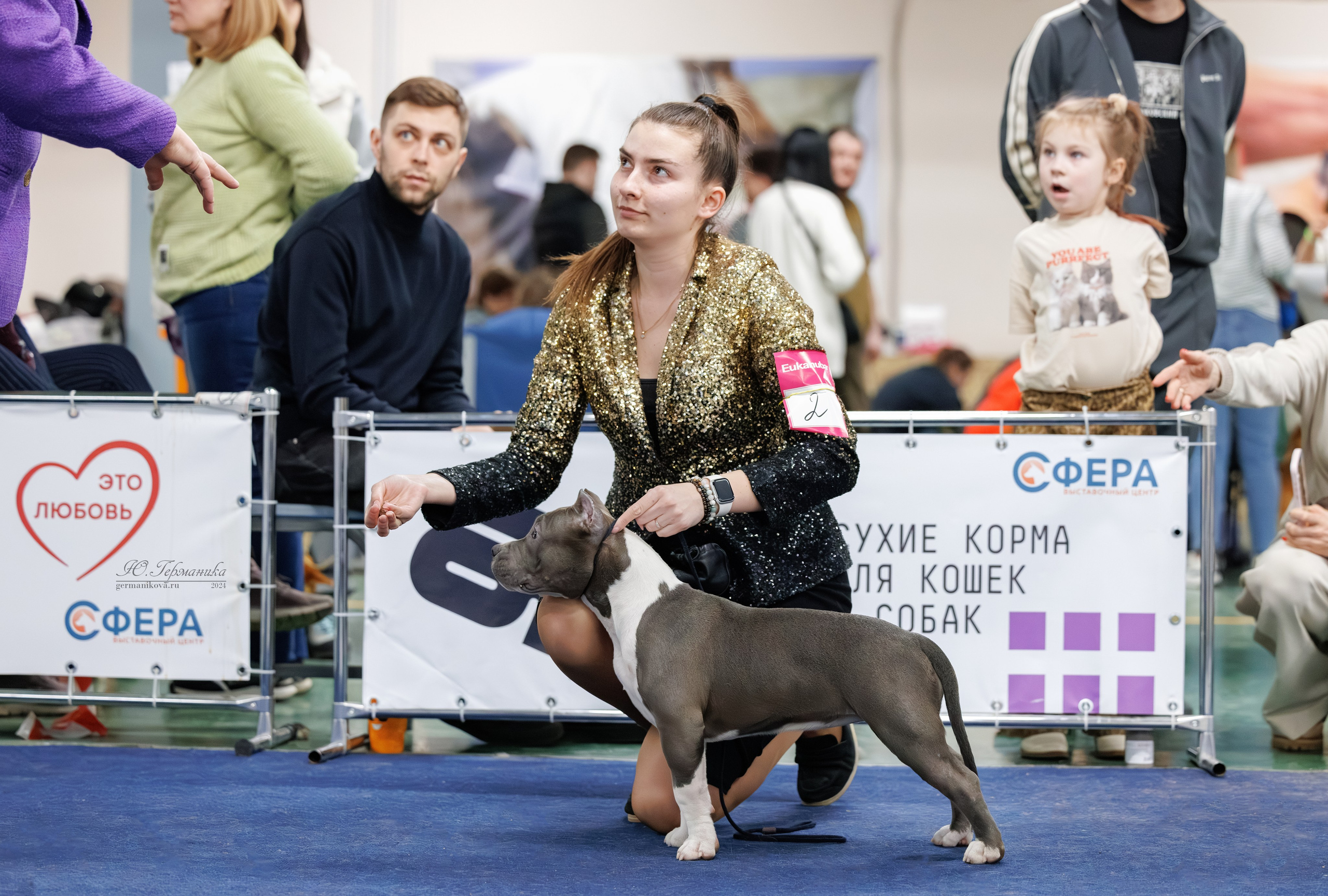 Сфера и Крокус 8,9,16 и 30.03.2025. Фотограф-анималист Юлия Германика