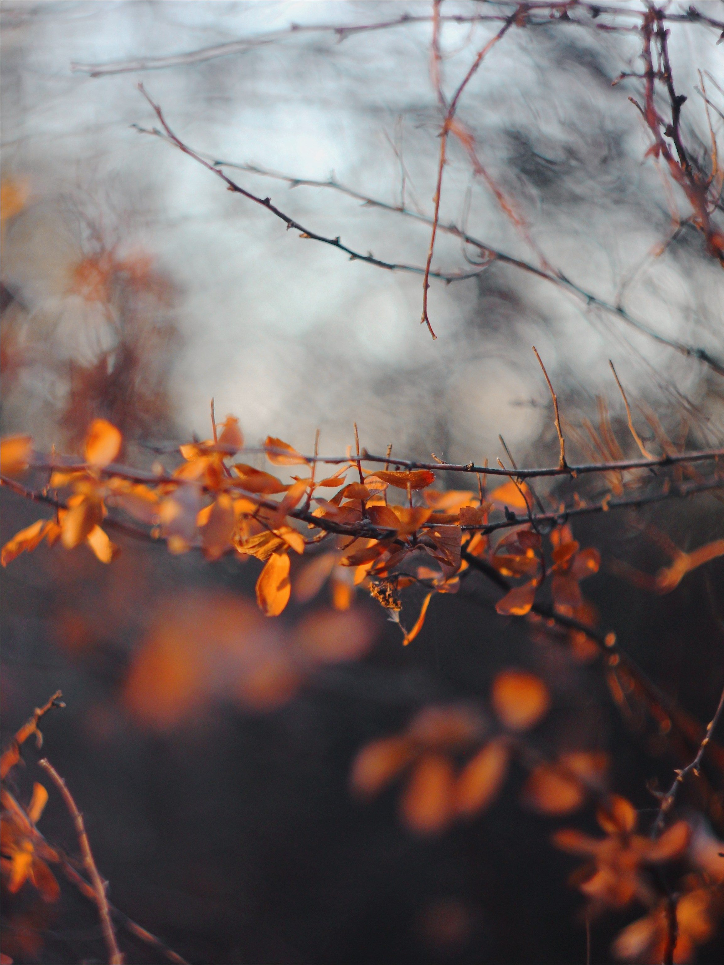 Эфемерность моментов. С любовью, фотохудожник