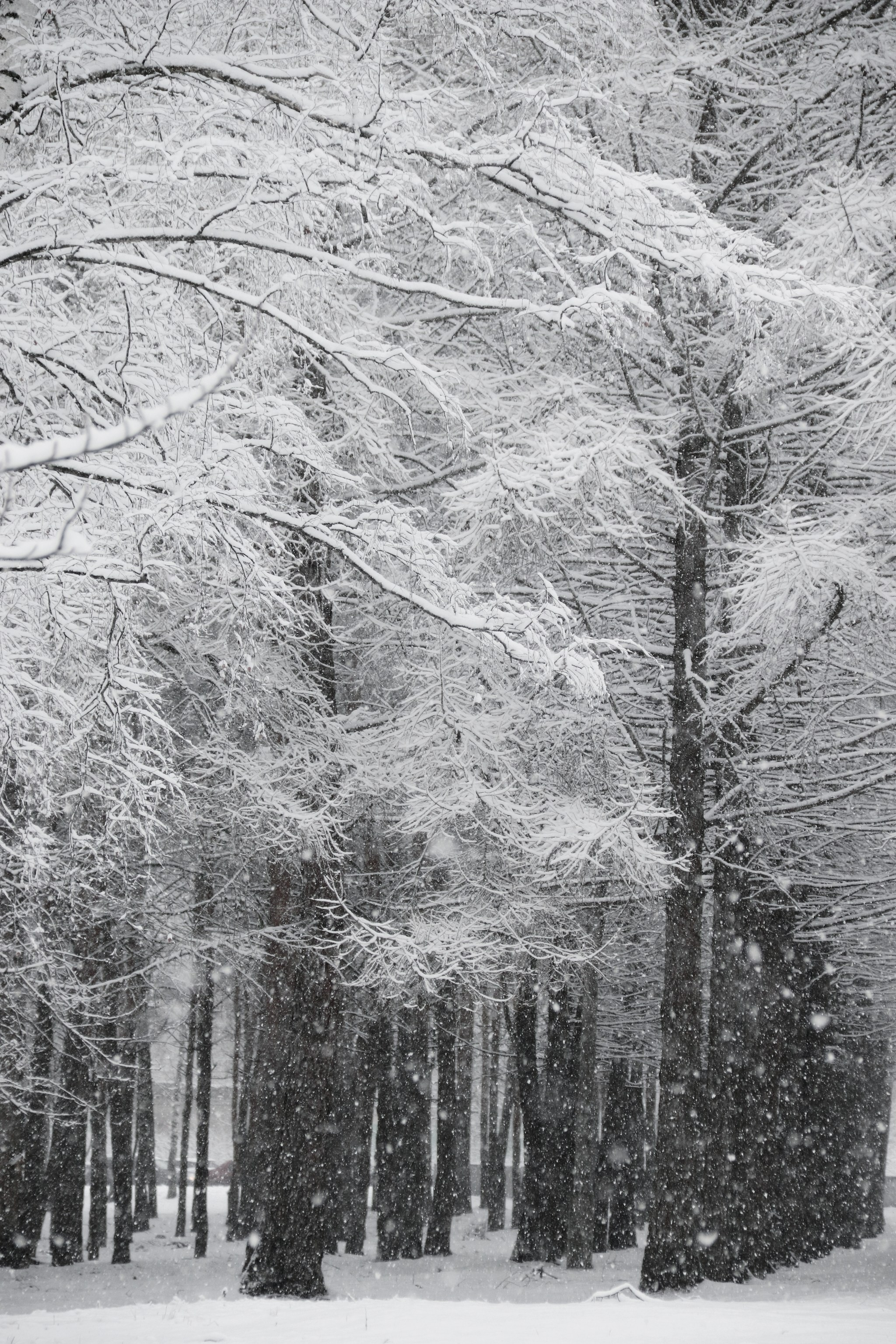 Монохромность марта. С любовью, фотохудожник