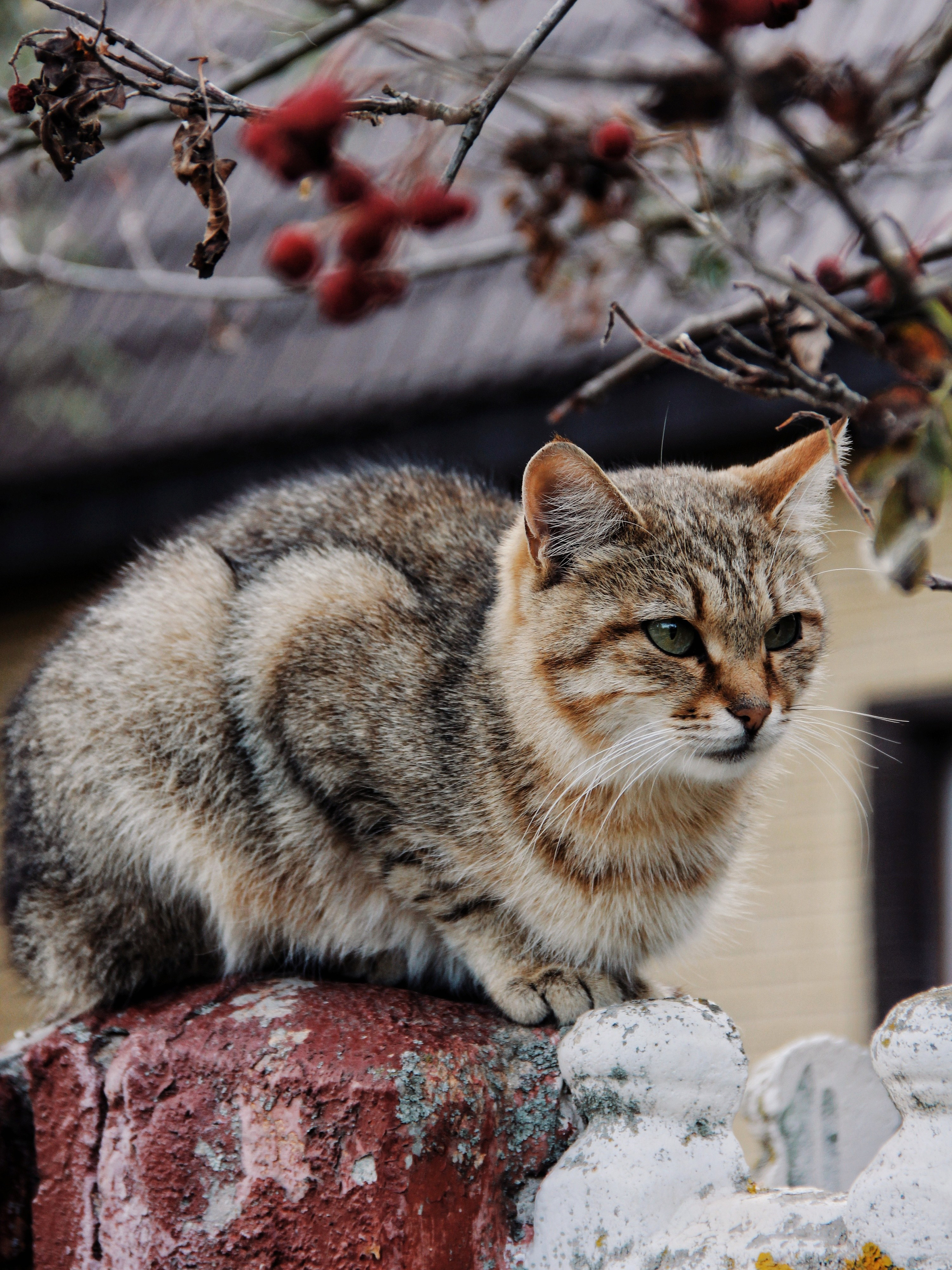 Уличные модели. С любовью, фотохудожник