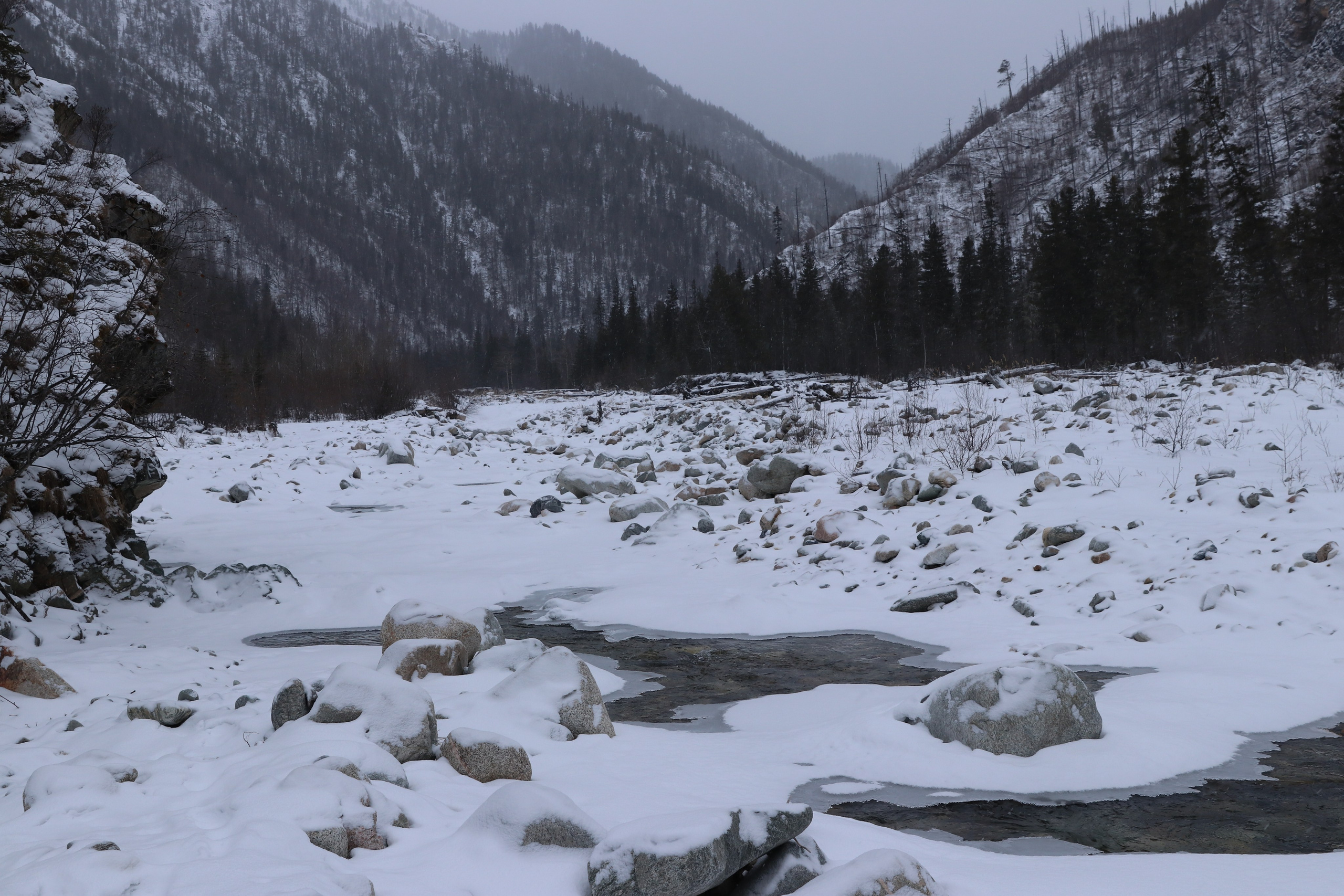 Аршан. Январь 2024. Путешественник-фотограф из Санкт-Петербурга Татьяна Свистулина