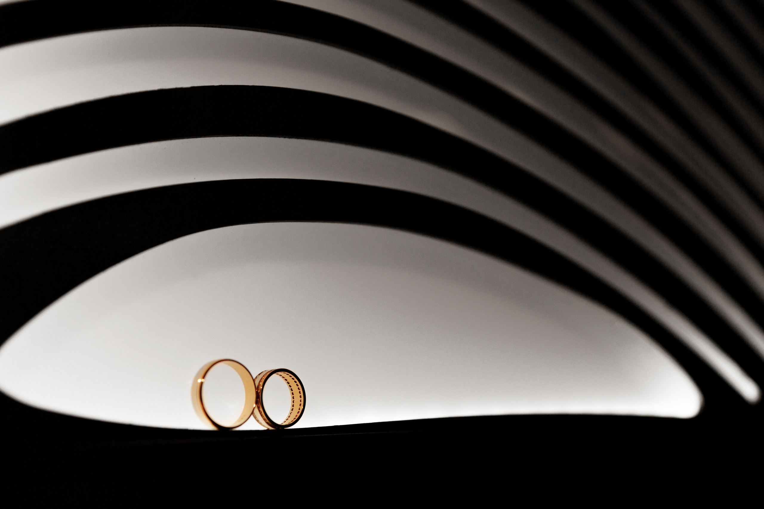 Свадебный фотограф ростов на дону. Свадебный фотограф  Ростов-на-Дону Моска, Санкт — Петербург