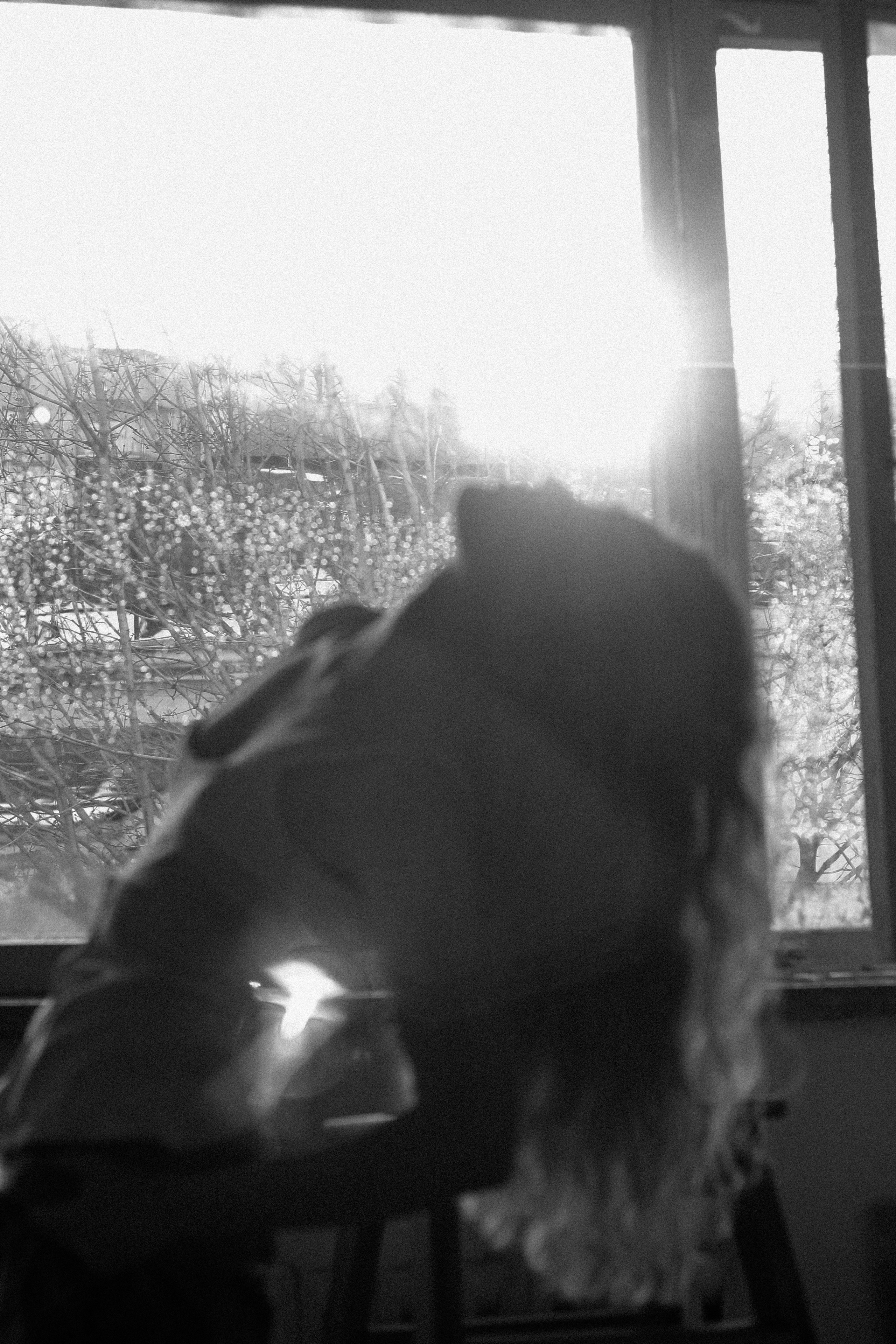 Фотограф Питер СПб | Галя Кручинина