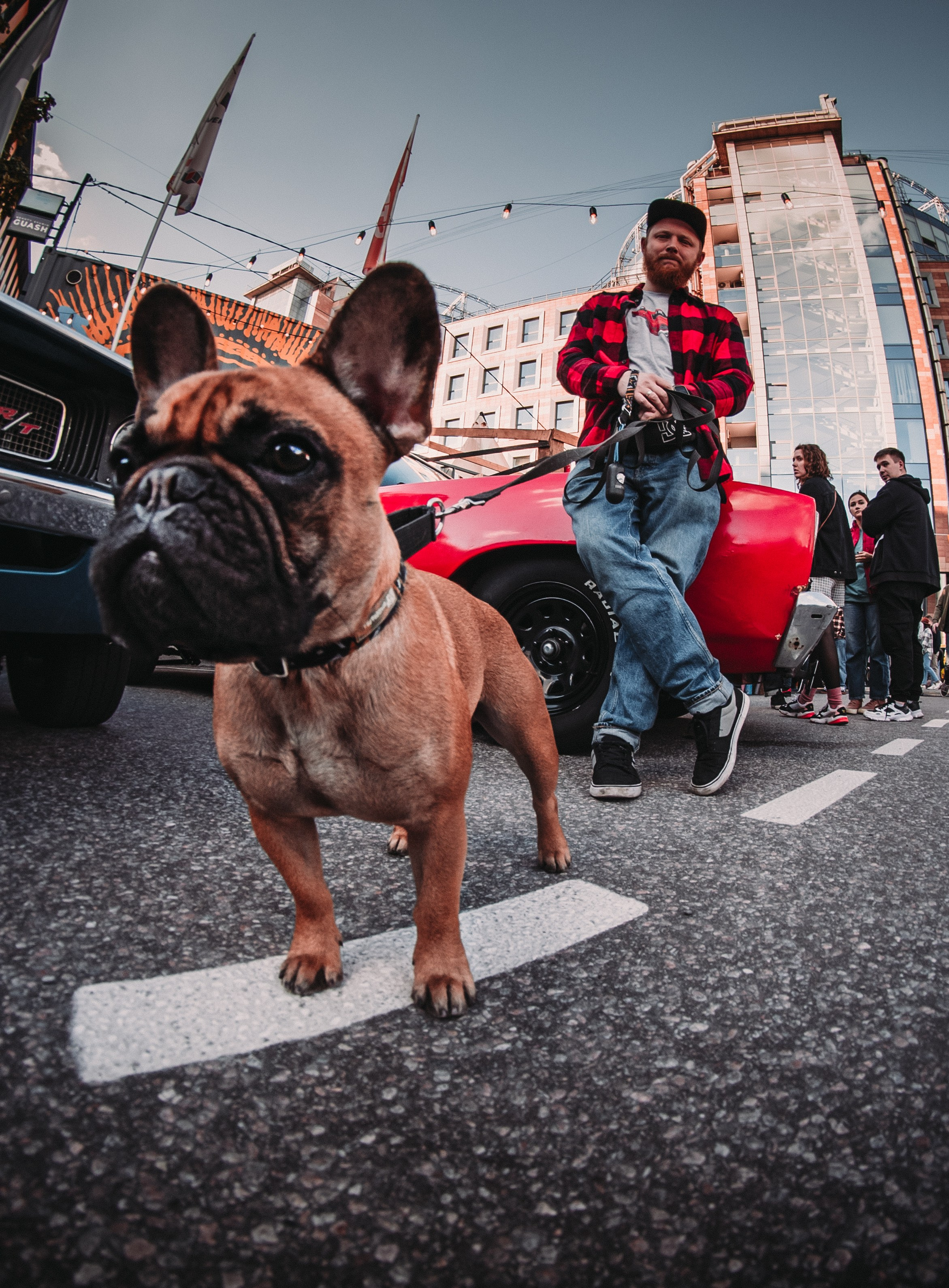 Примеры моих работ. Леканов Сергей, фотограф в Санкт-Петербурге и Лен. Области