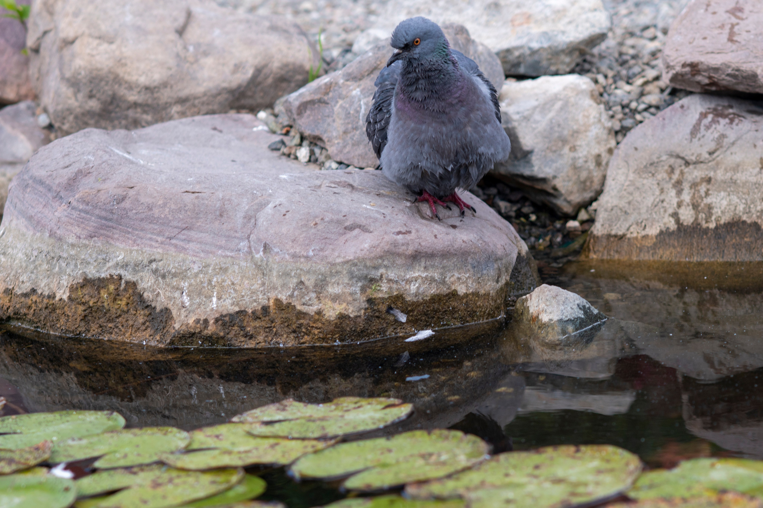 Муром. Сентябрь 2022. Фотограф Роман Адлер