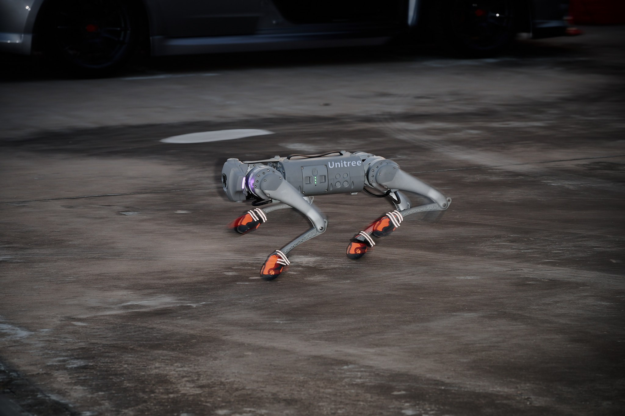 Тюнинг-Арт-Музей. Встреча на РЖД Арене. Фотограф Роман Адлер
