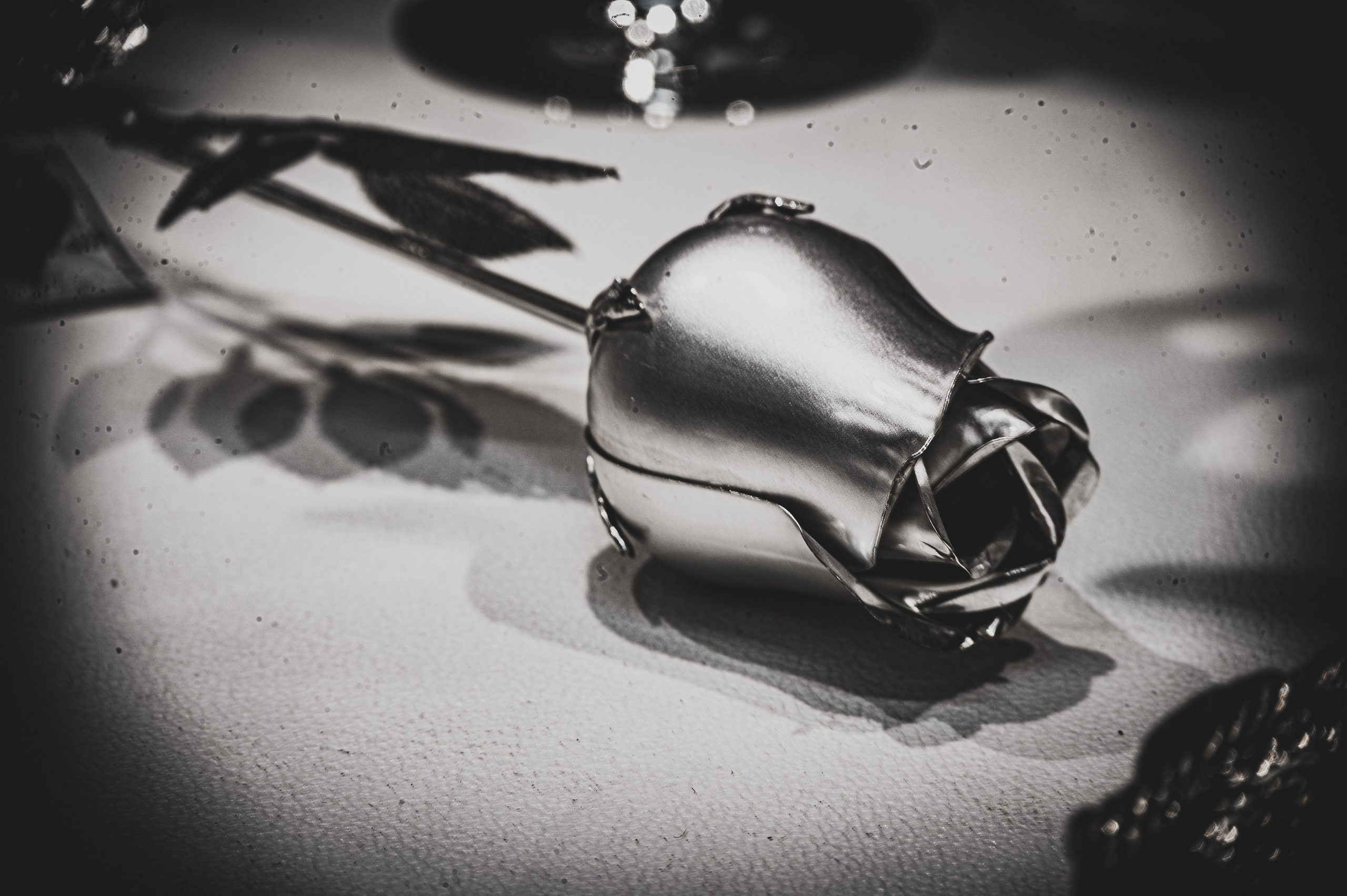 Фотопрогулка. Апрель 2023. Москва. Фотограф Роман Адлер