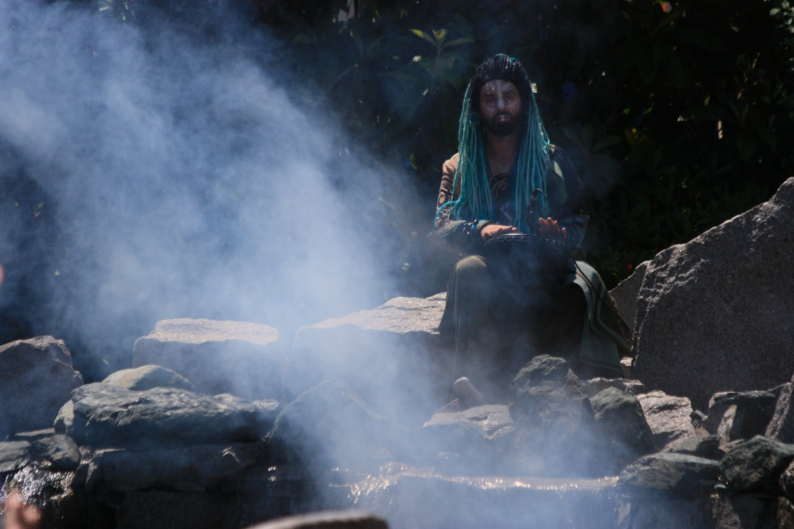 Первые кадры. Сочи — парк. Фотограф Роман Адлер