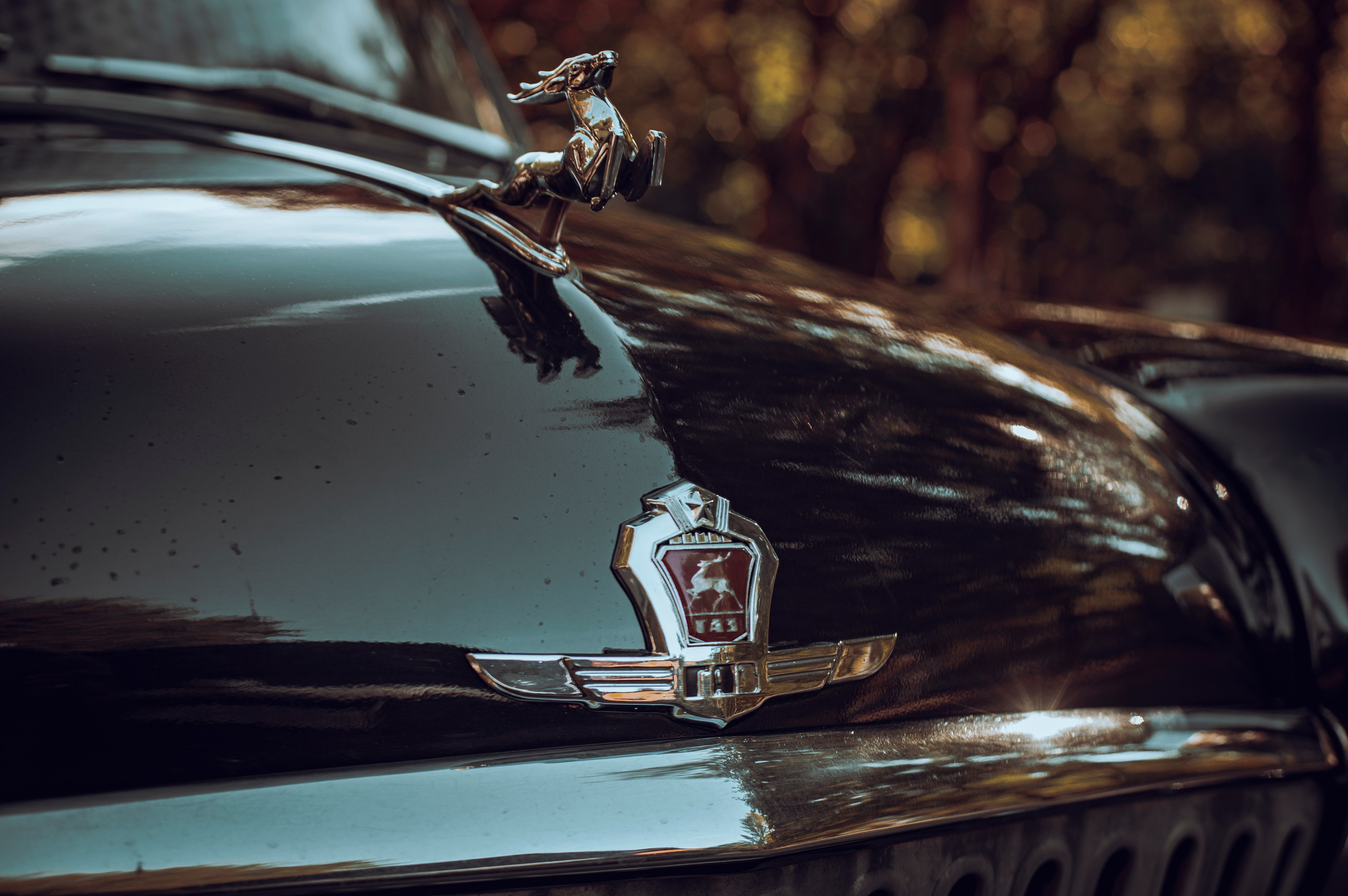 ГАЗ 21 Волга. Фотограф Роман Адлер