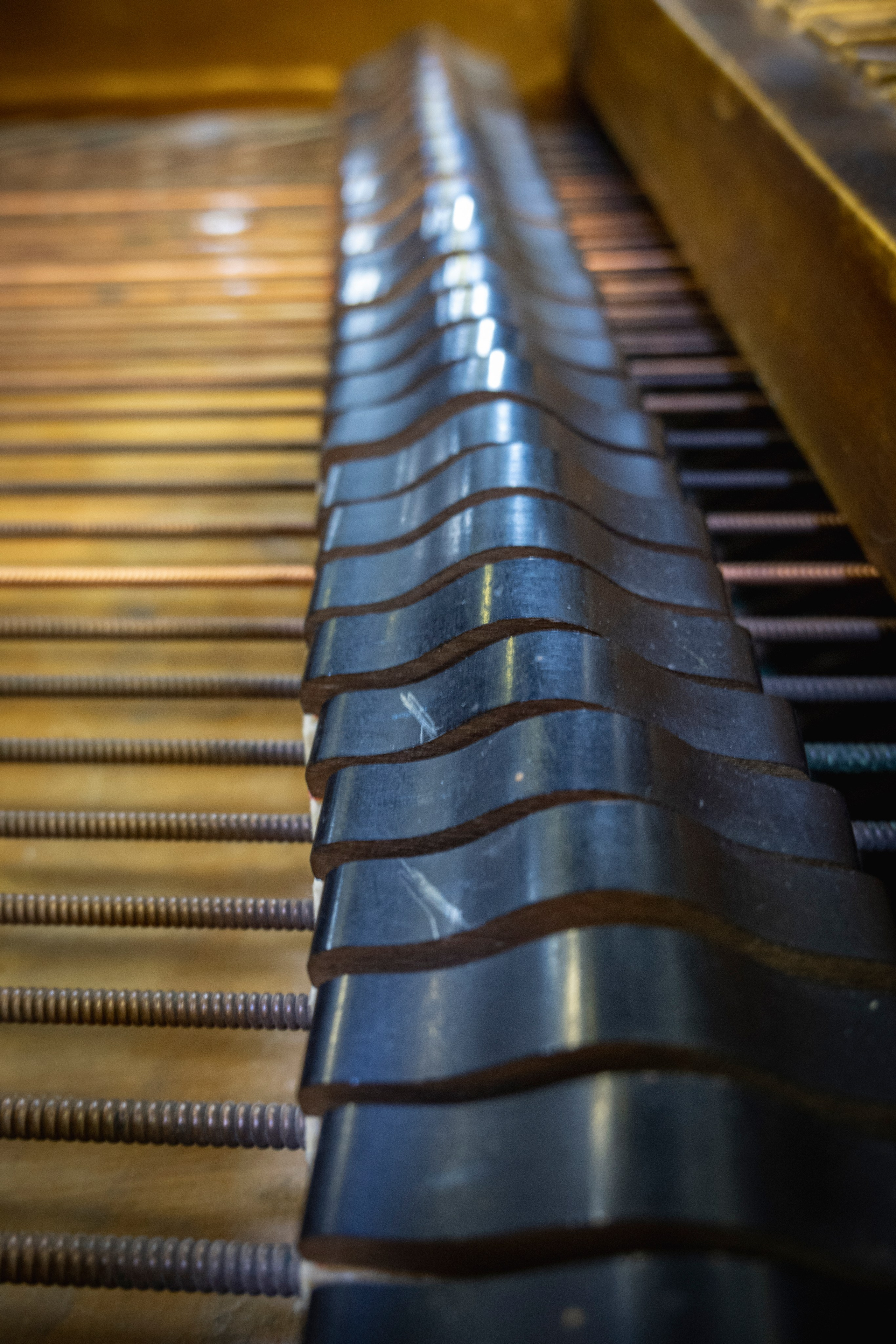 Творческий вечер. Друзья, стихи и песни!. Фотограф Роман Адлер