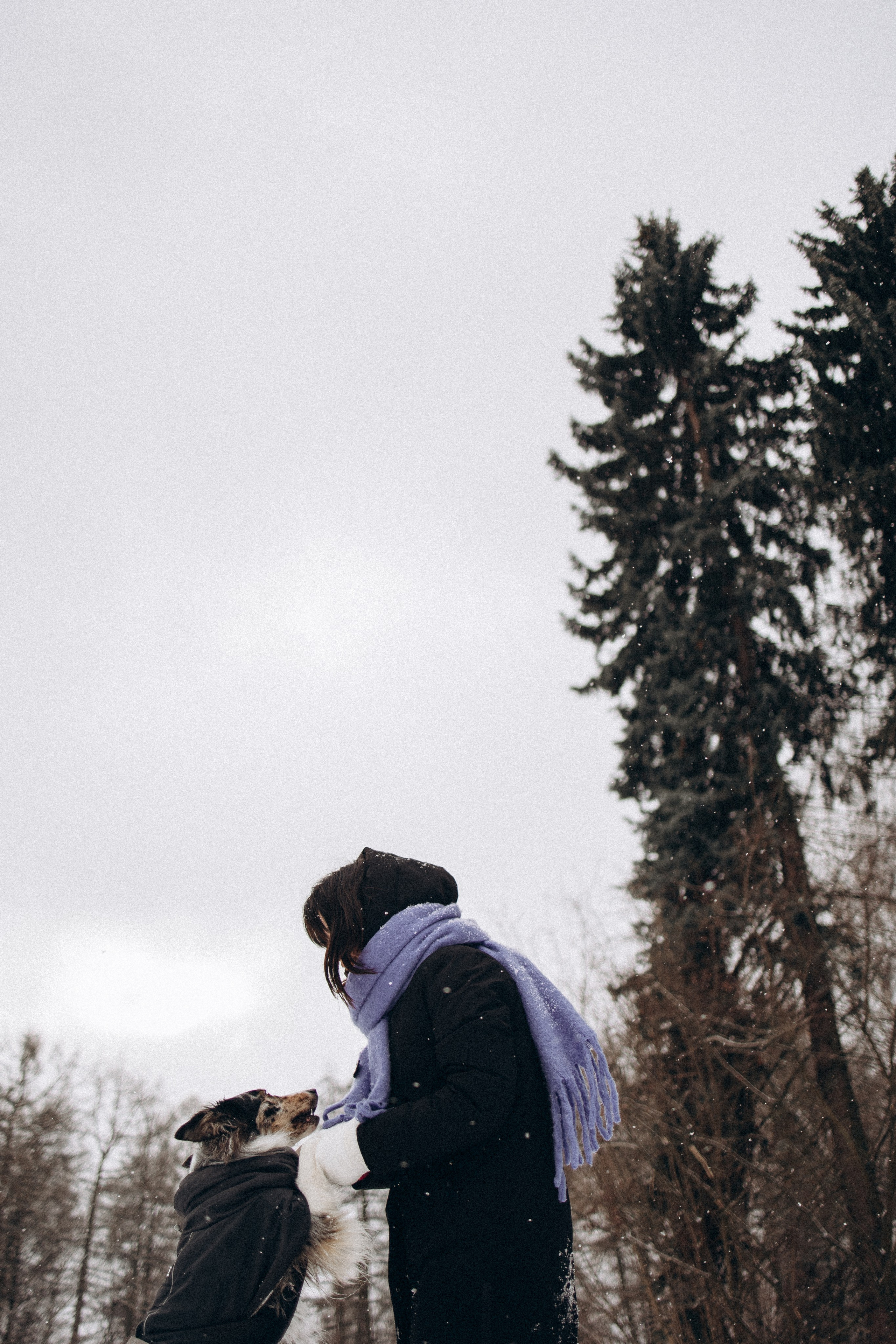 Настя и Тор. Фотораф — анималист Мария Шистка