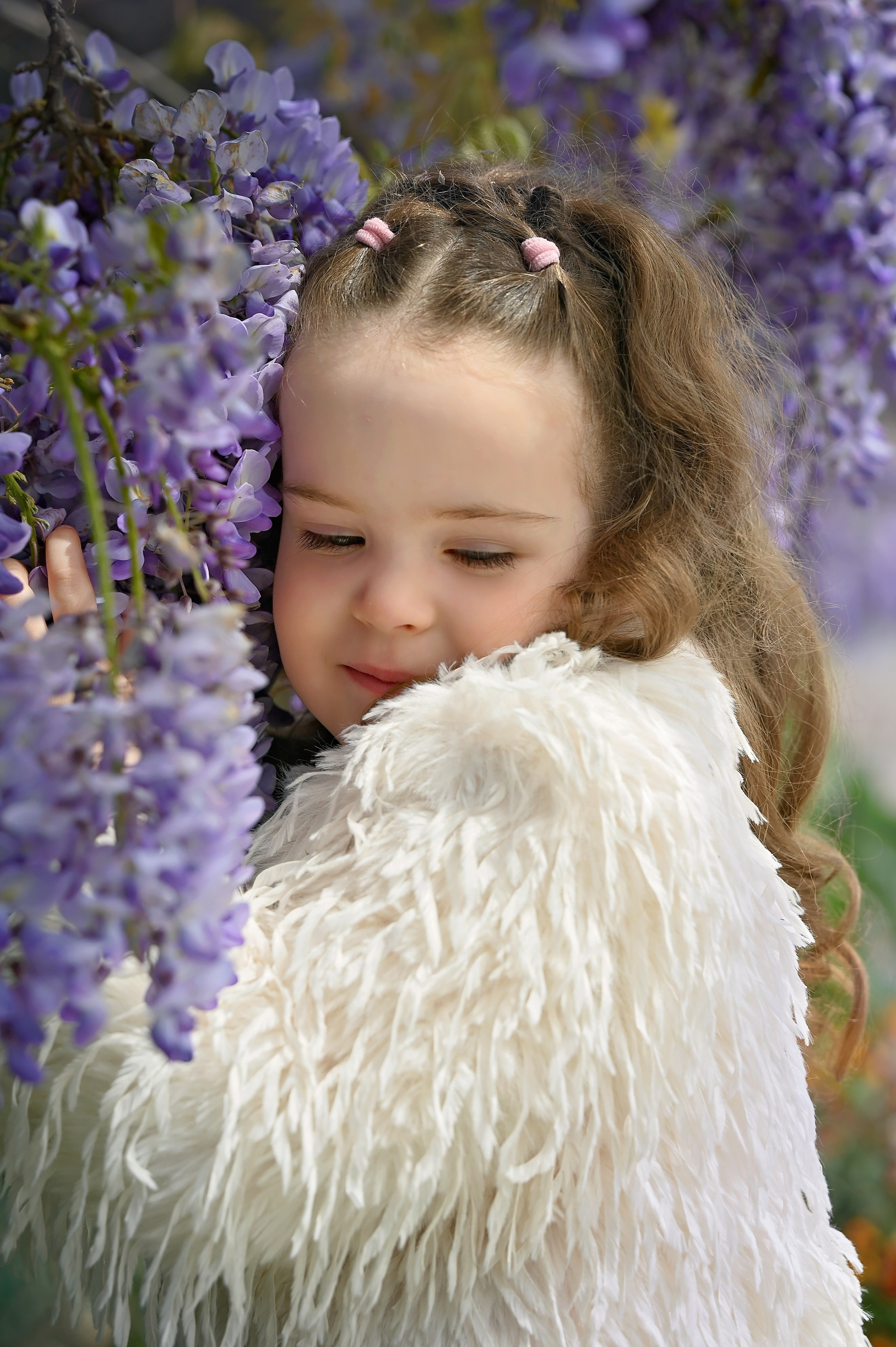 Глициния. Главная