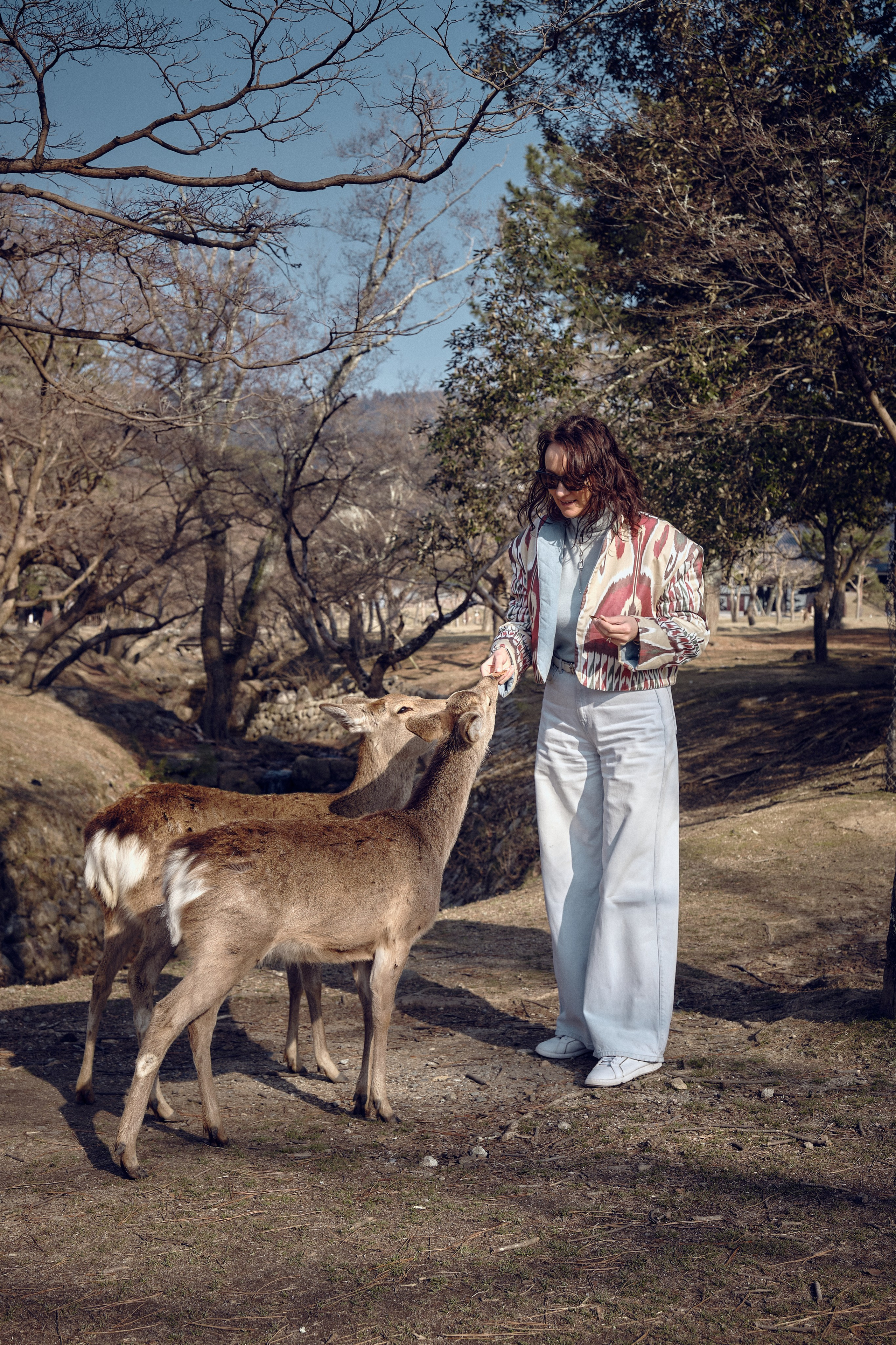 Japan / Osaka≫Kyoto≫Tokyo. Aleksandr Kobtsev