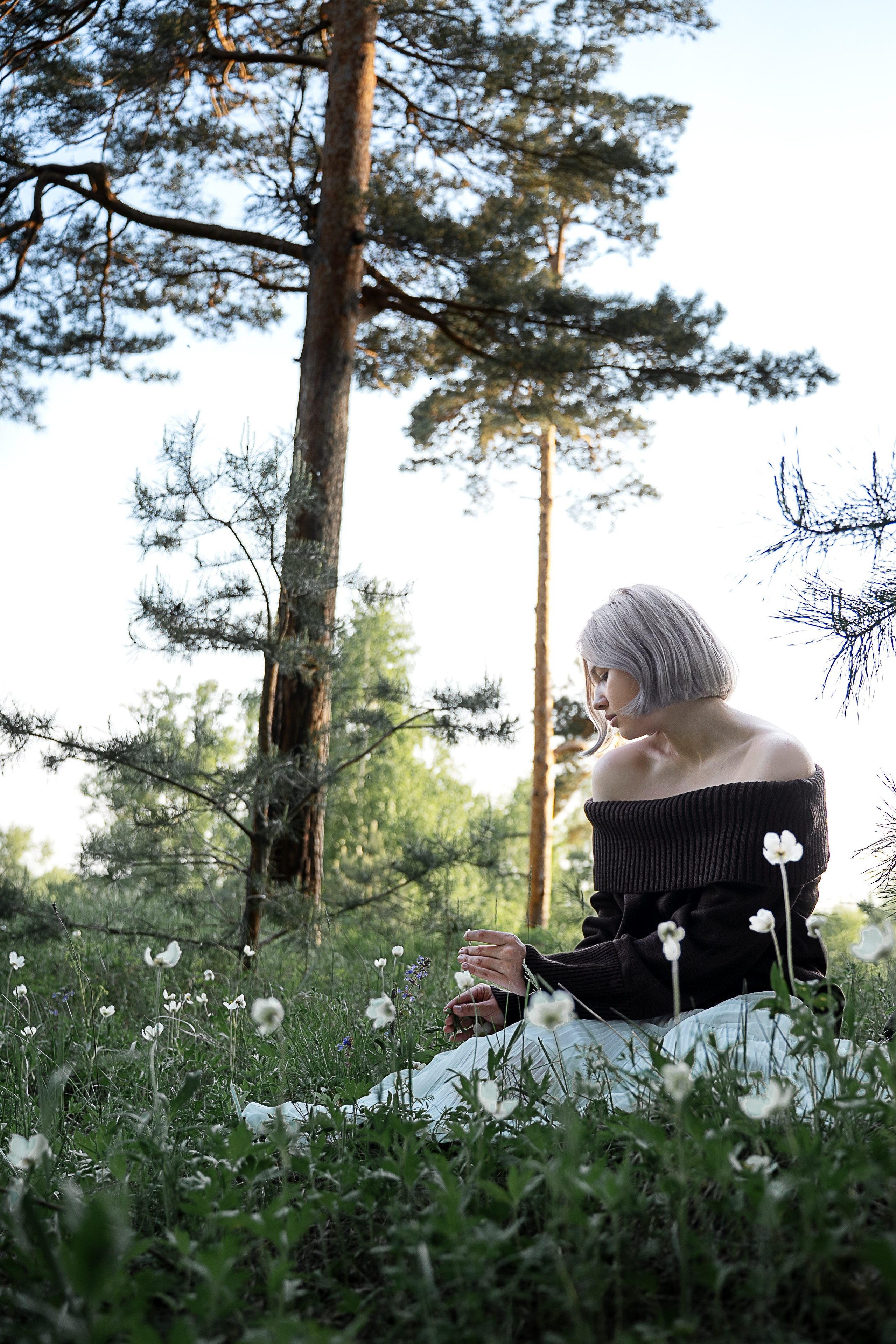 Алиса лето. Главная