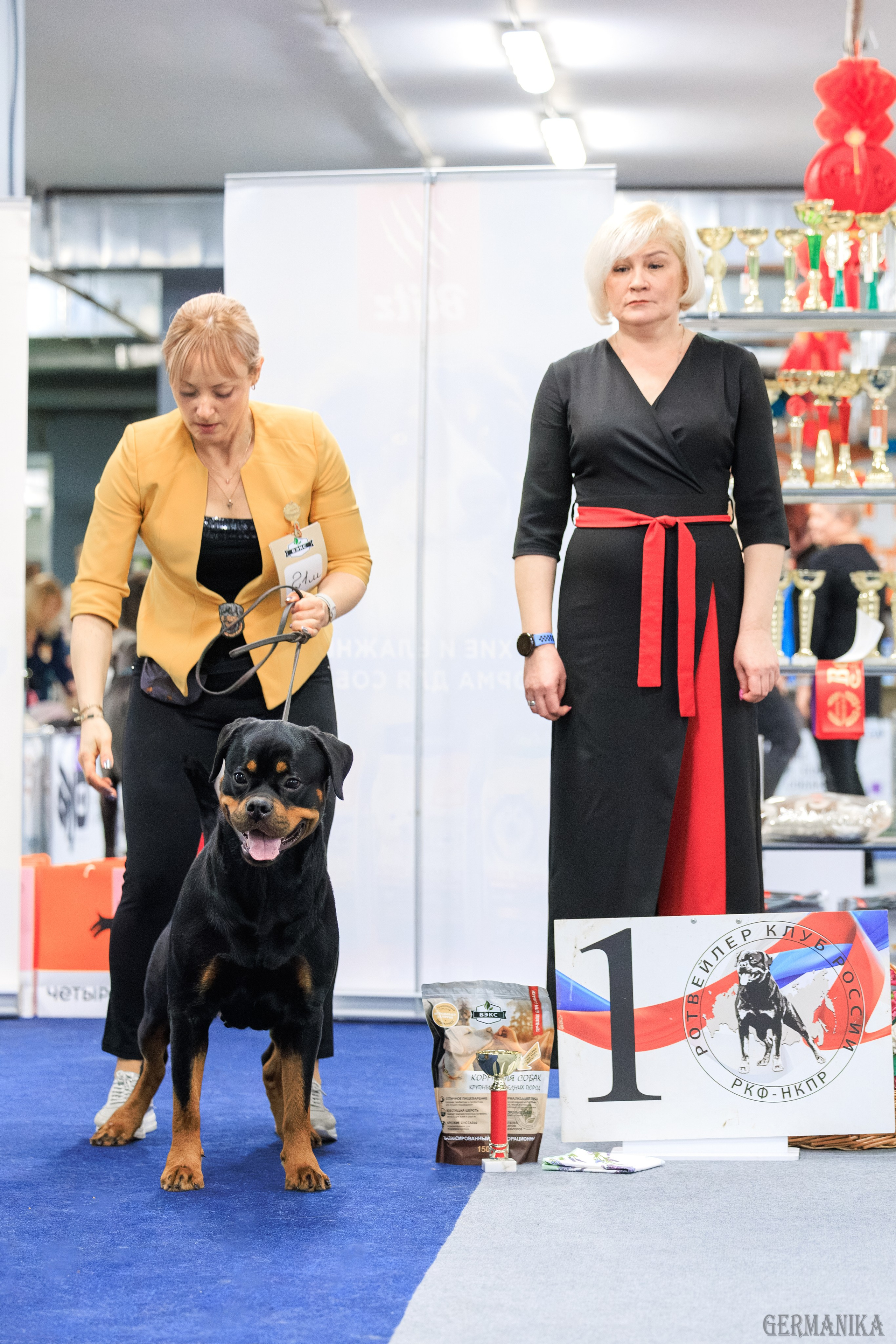 Сфера 08 и 10.03.2024 2хмоно ротвейлеров+2хмоно сао. Фотограф-анималист Юлия Германика