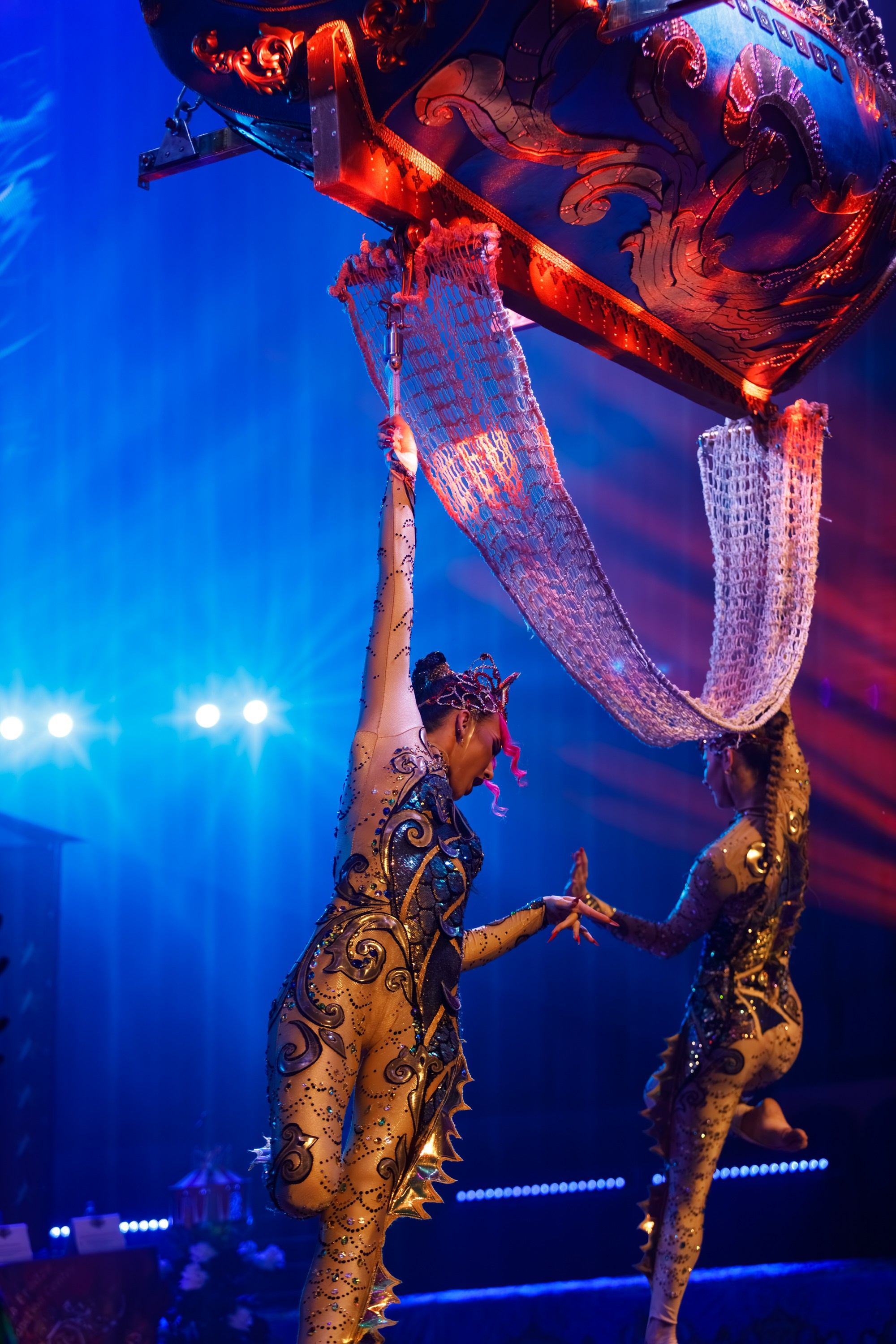 Сочинский росгорцирк Шоу Гии Эрадзе цирк. Профессиональный фотограф в Сочи Виктория Джой. Обучение