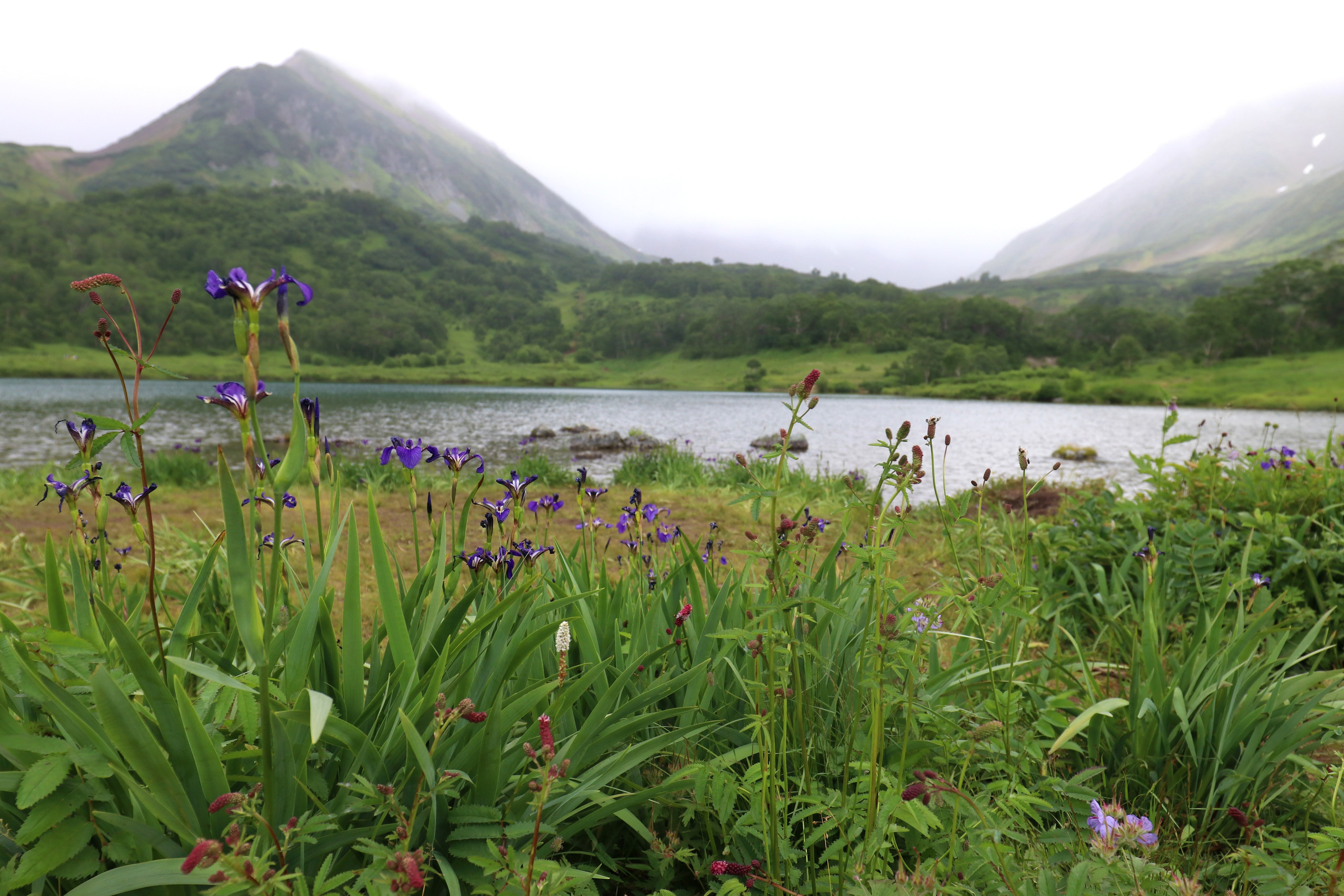 Камчатка и о. Парамушир. Июль 2024. Путешественник-фотограф из Санкт-Петербурга Татьяна Свистулина