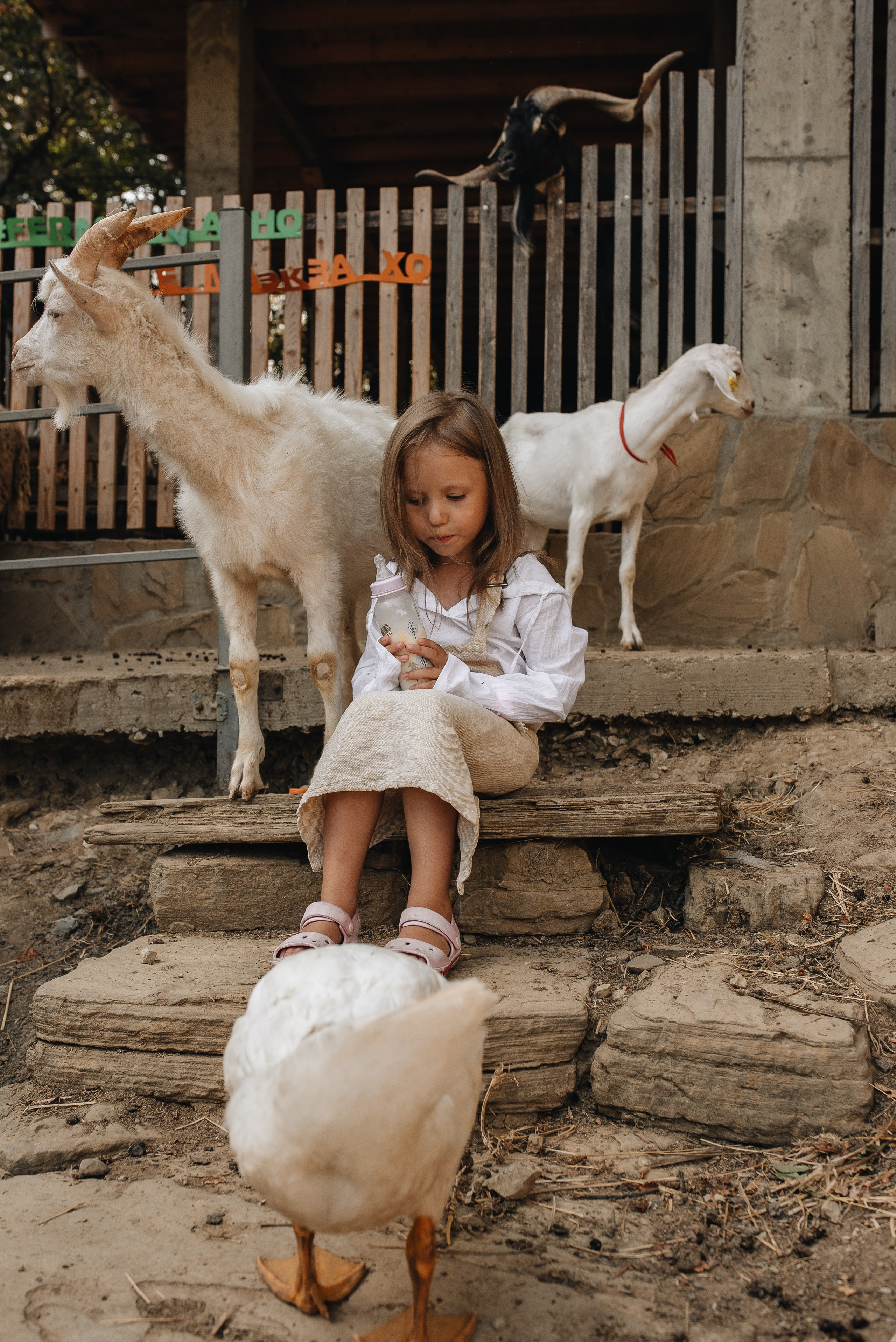 На ферме. Семейная фотосессия в Новосибирске от фотографа Ольги Коваль
