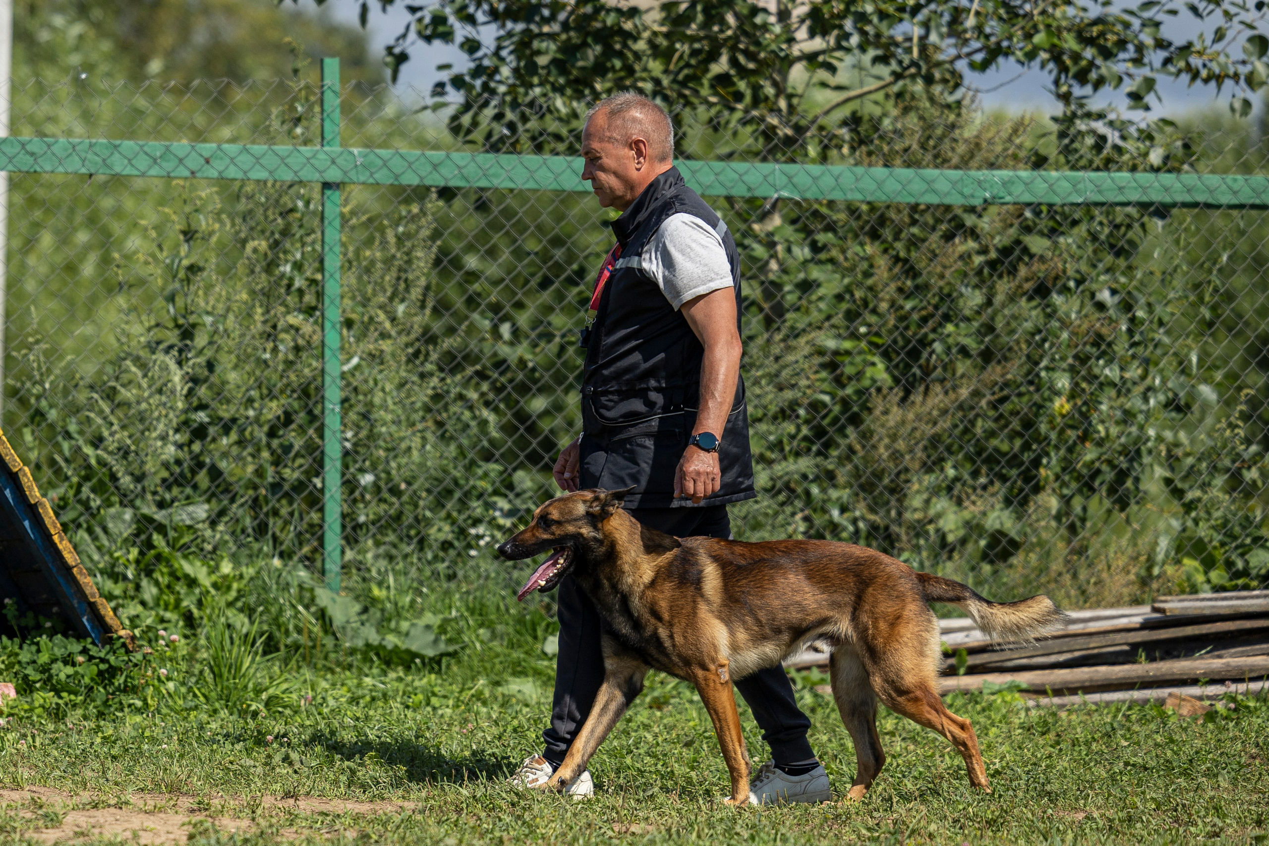 Соревнования по Мондьорингу г. Вологда 10-11.08.2024. Фотограф-анималист Анна Маринич