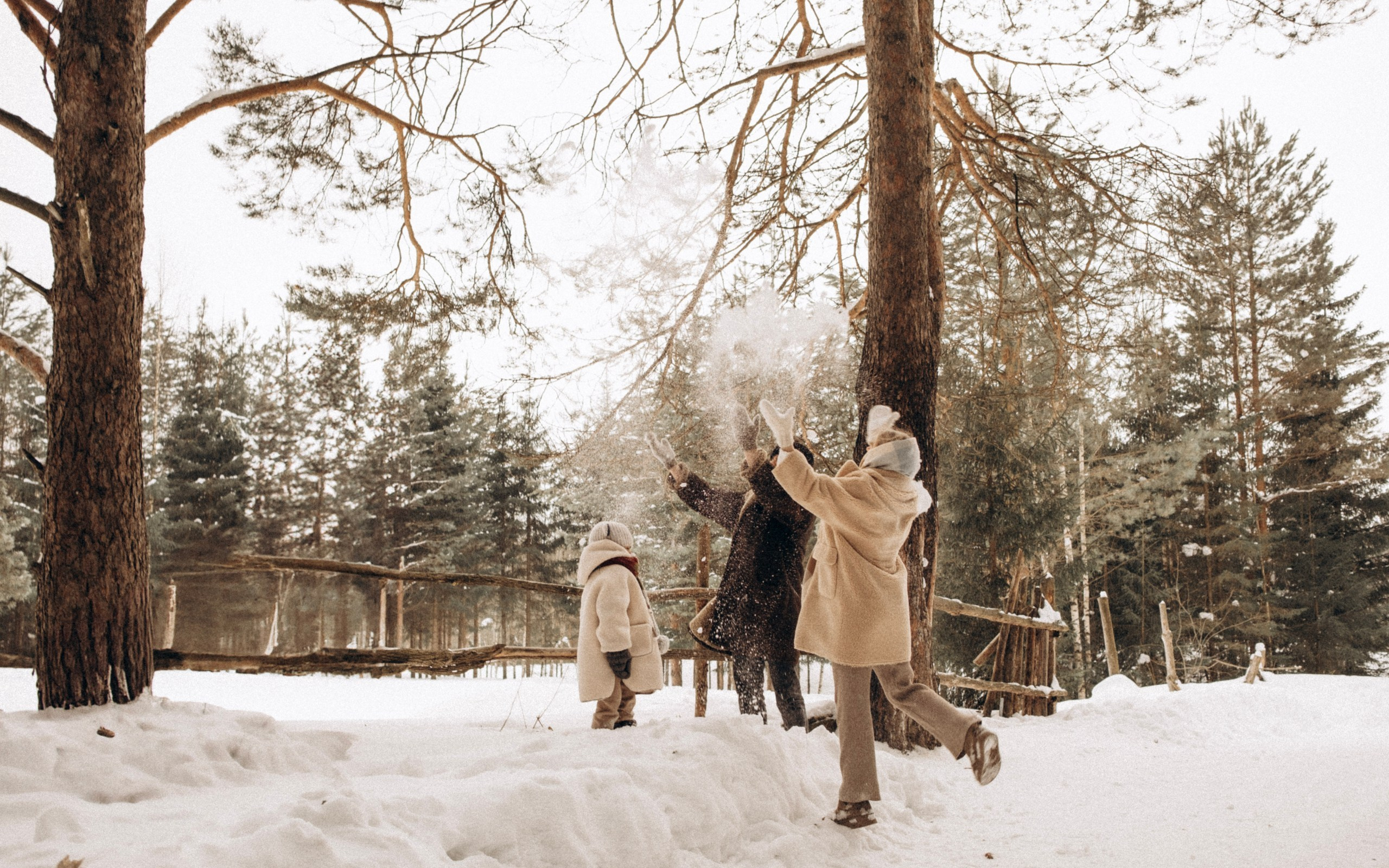 Зимняя история. Главная