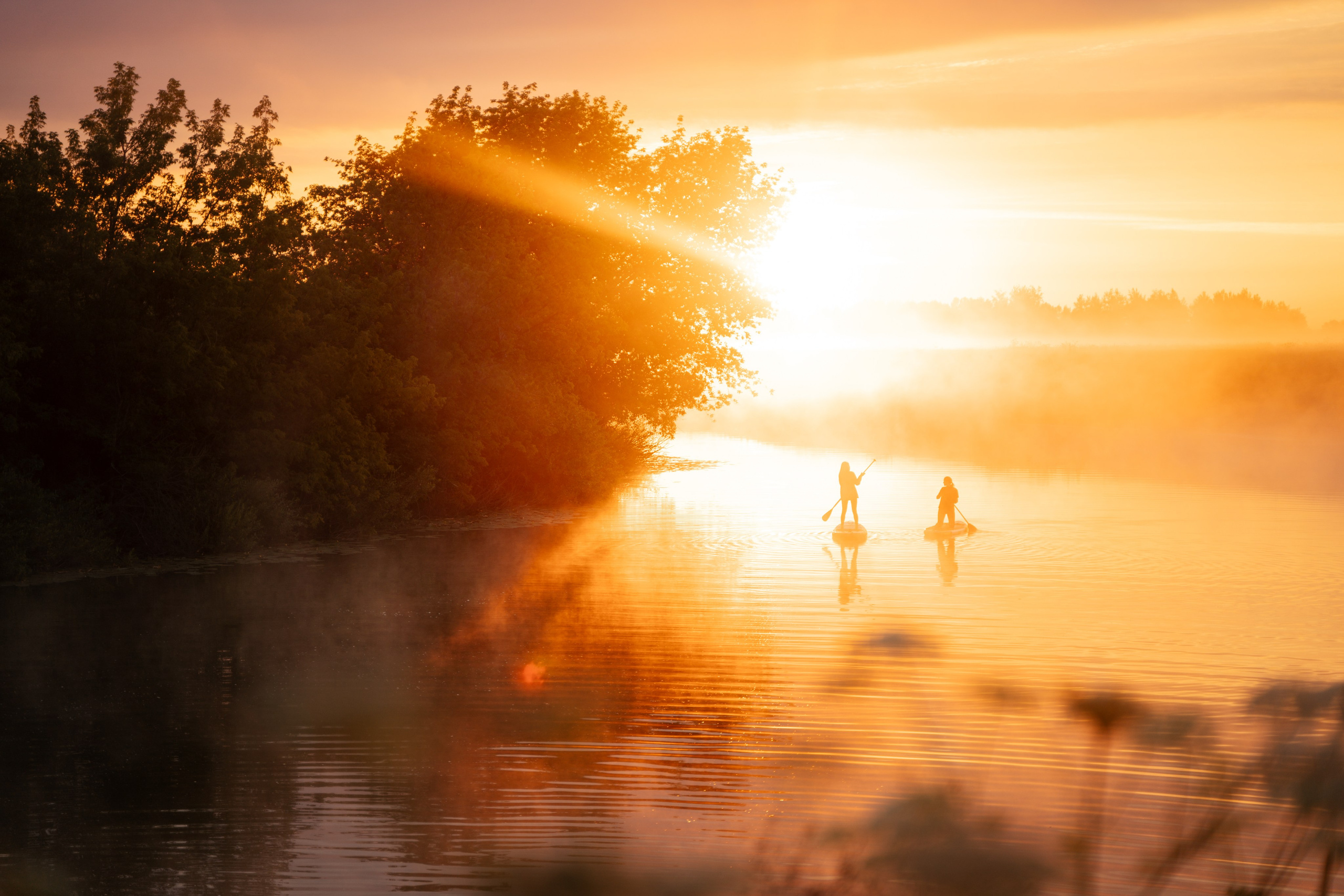 Палаточный форум для взрослых CAMPot 2024. Фотограф Надежда Погребняк | Рязань | Москва