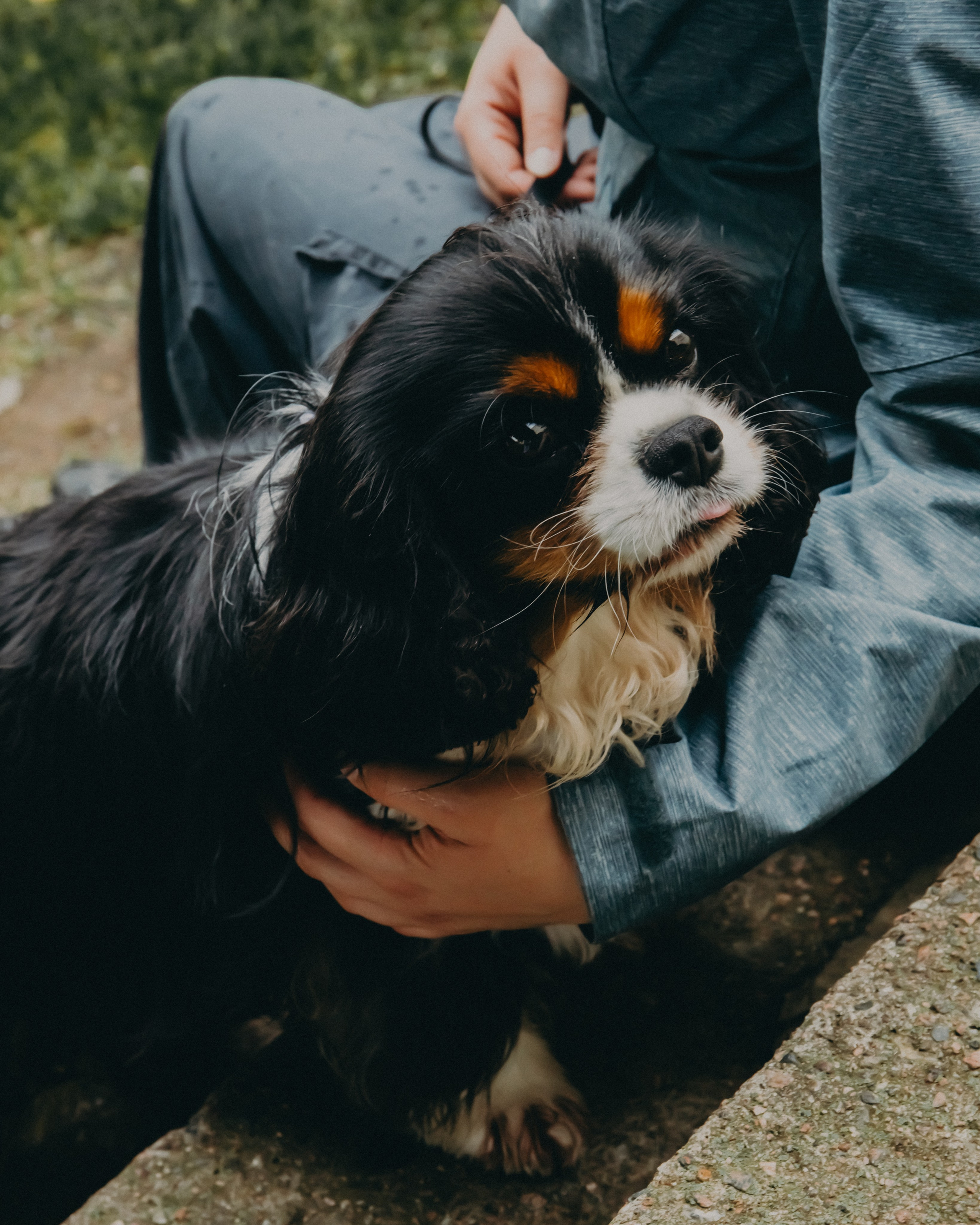Гилдин. Портретный фотограф Ванинен Анастасия. Санкт-Петербург