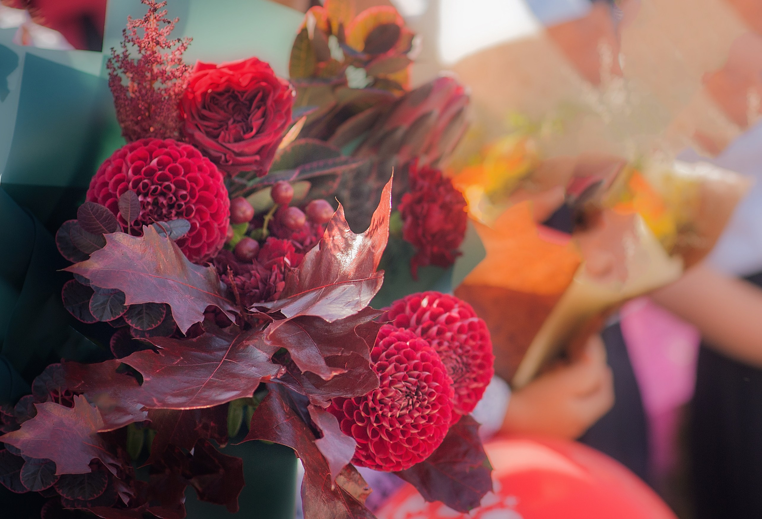 ШКОЛЬНЫЕ РЕПОРТАЖИ. Фотограф Вера Демидкова