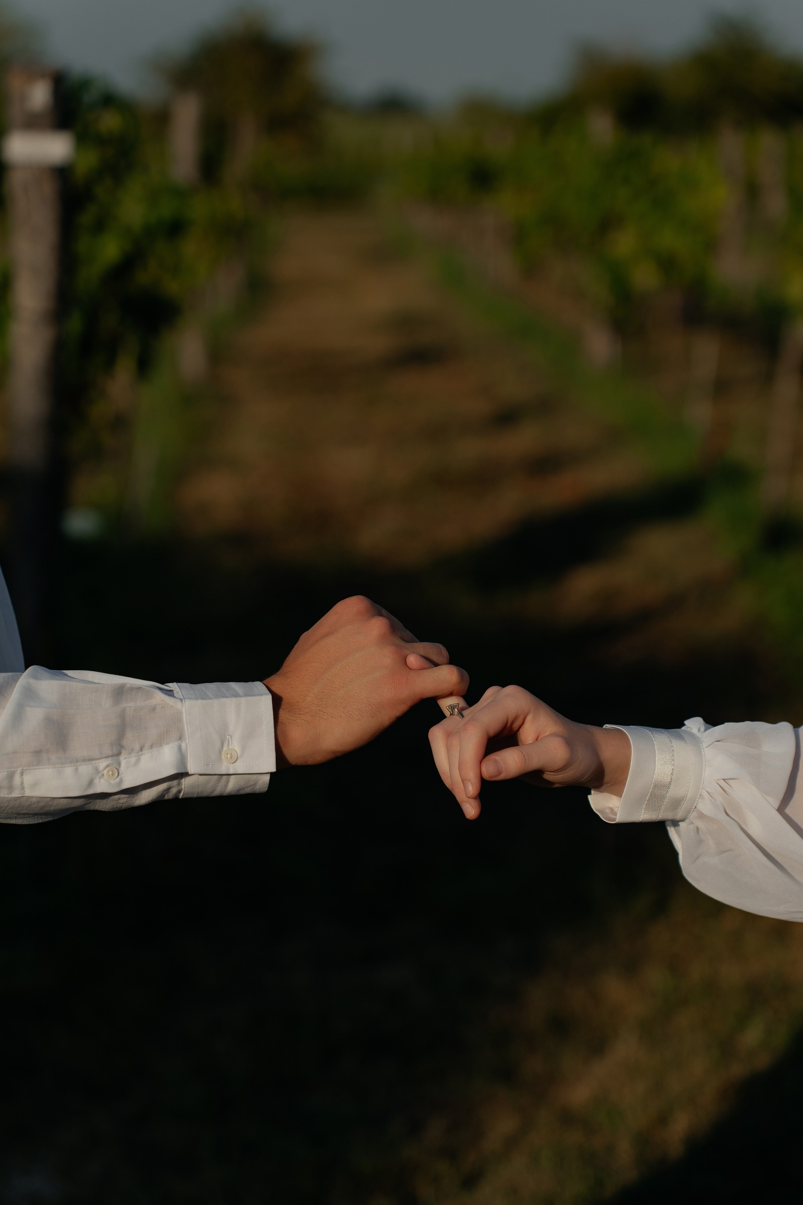 Никита и Лика. Фотограф Сергей Филиппов