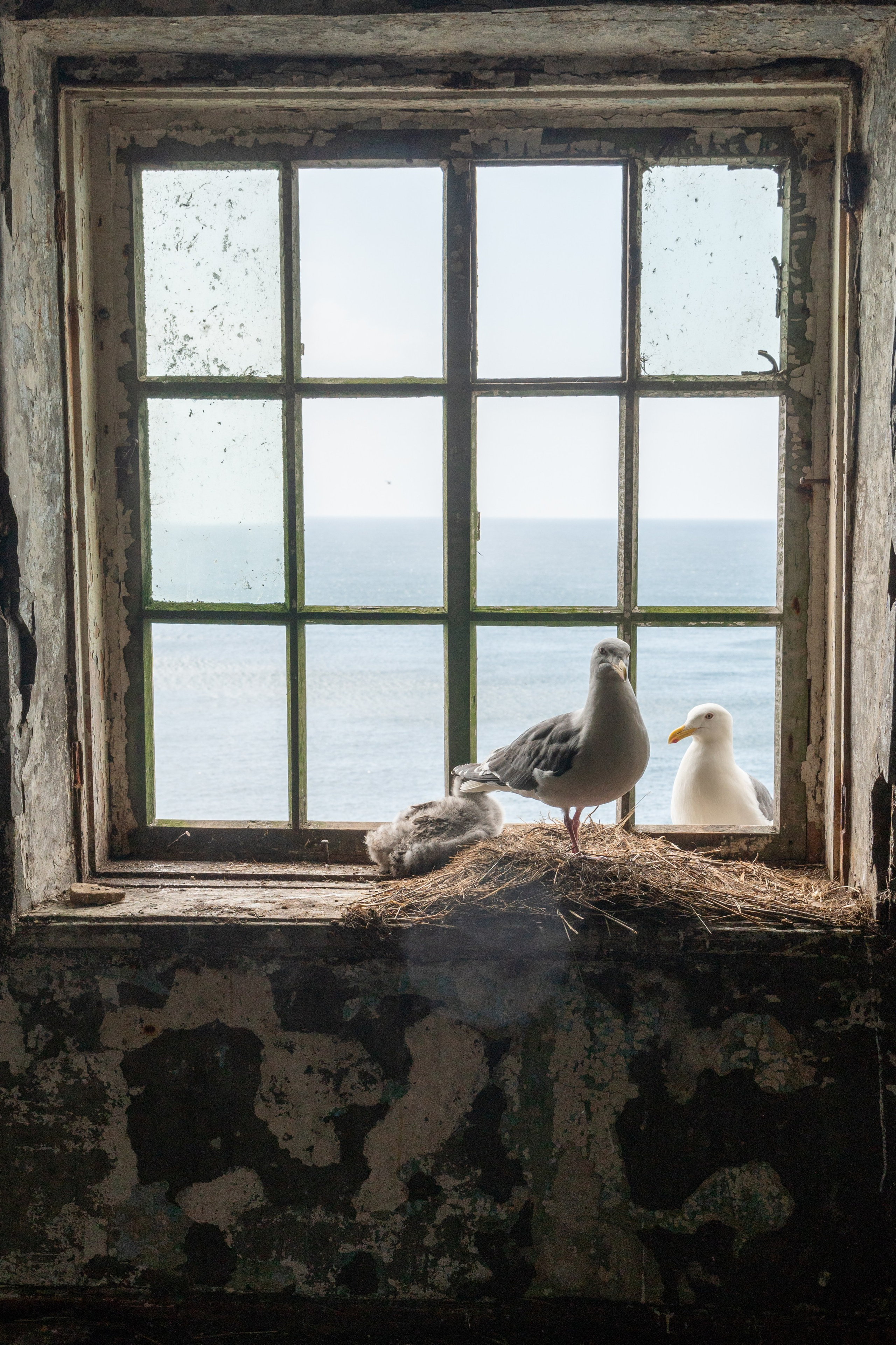 Сахалин. Gusarov Travel Photography