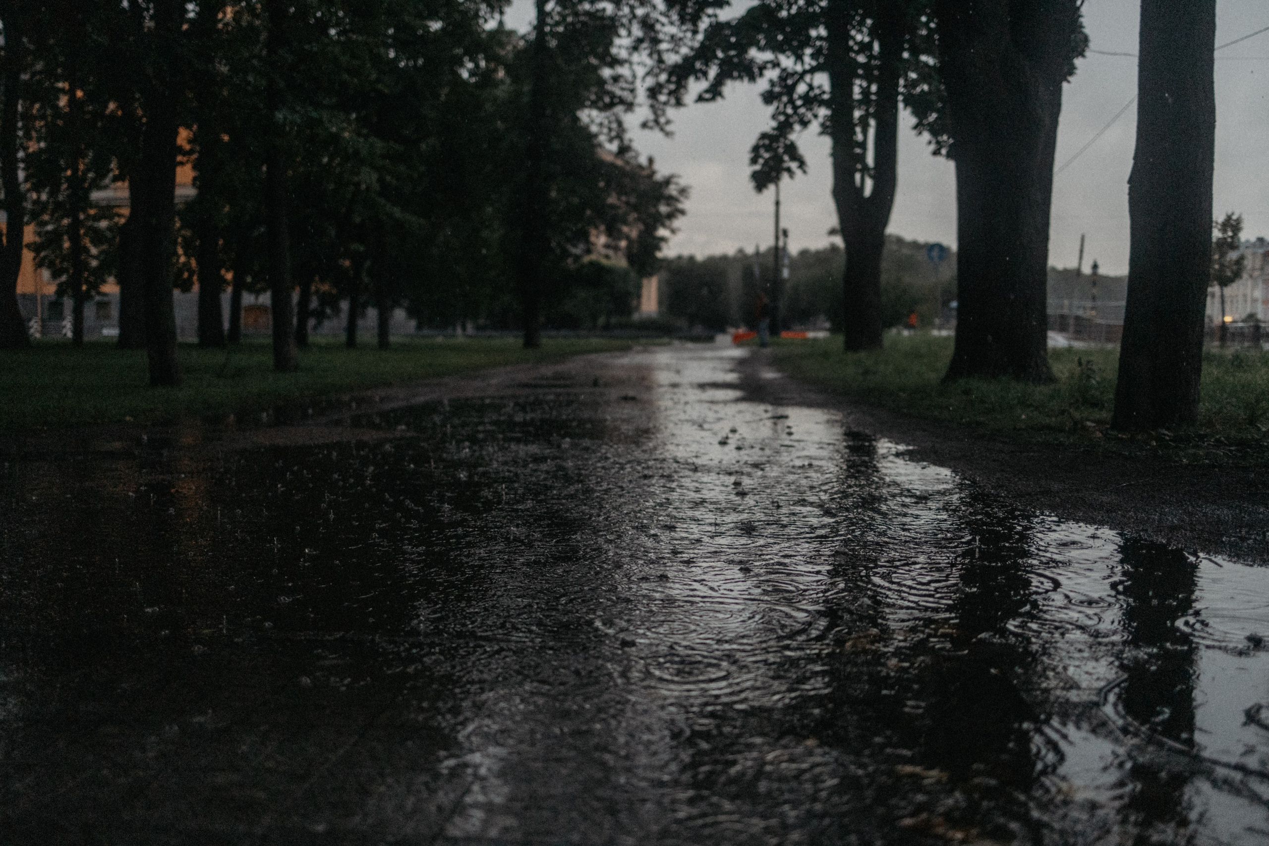 Город дождей. Семейный фотограф в Белгороде
