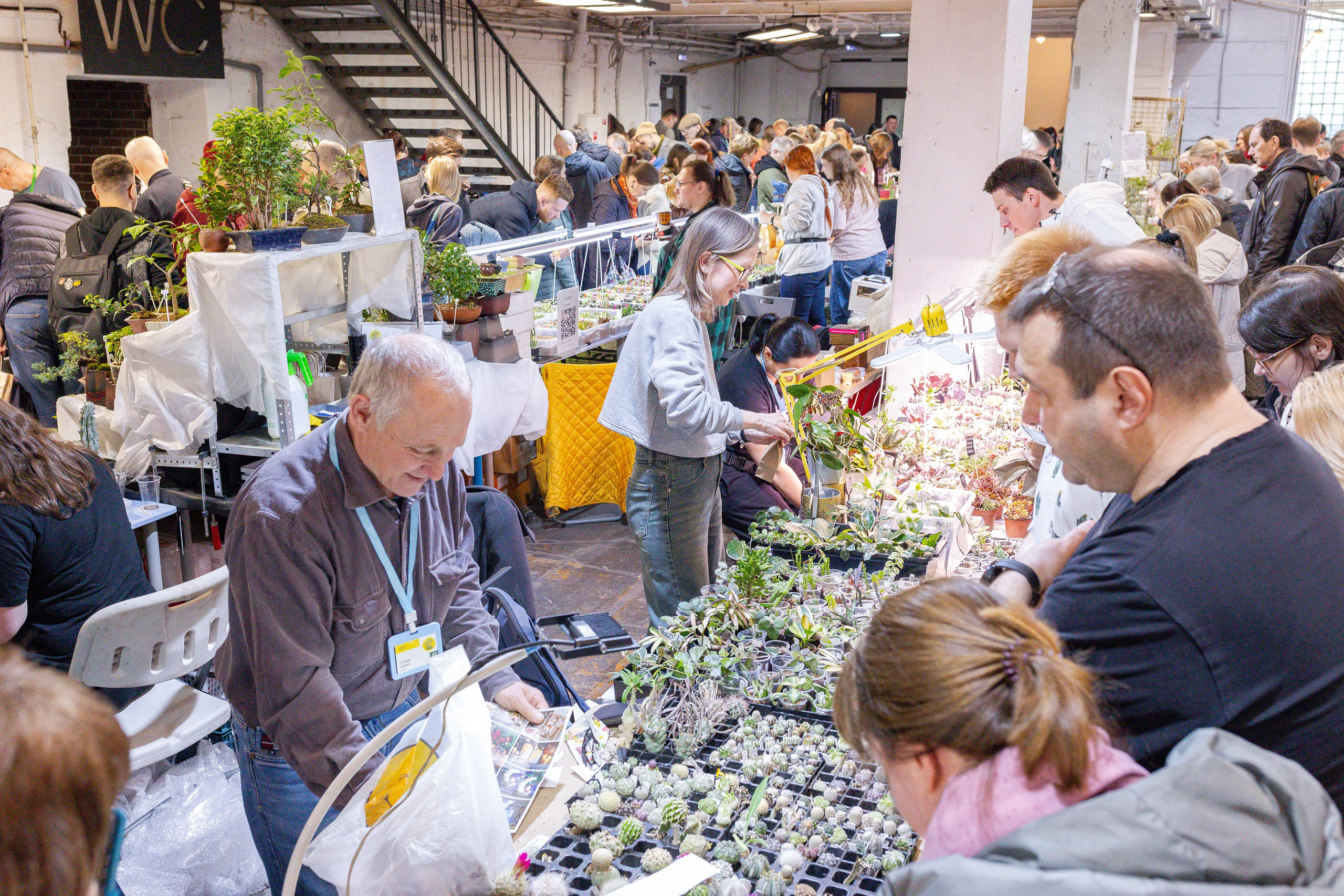 Кактус Фест. Александра Куликова фотограф, Москва