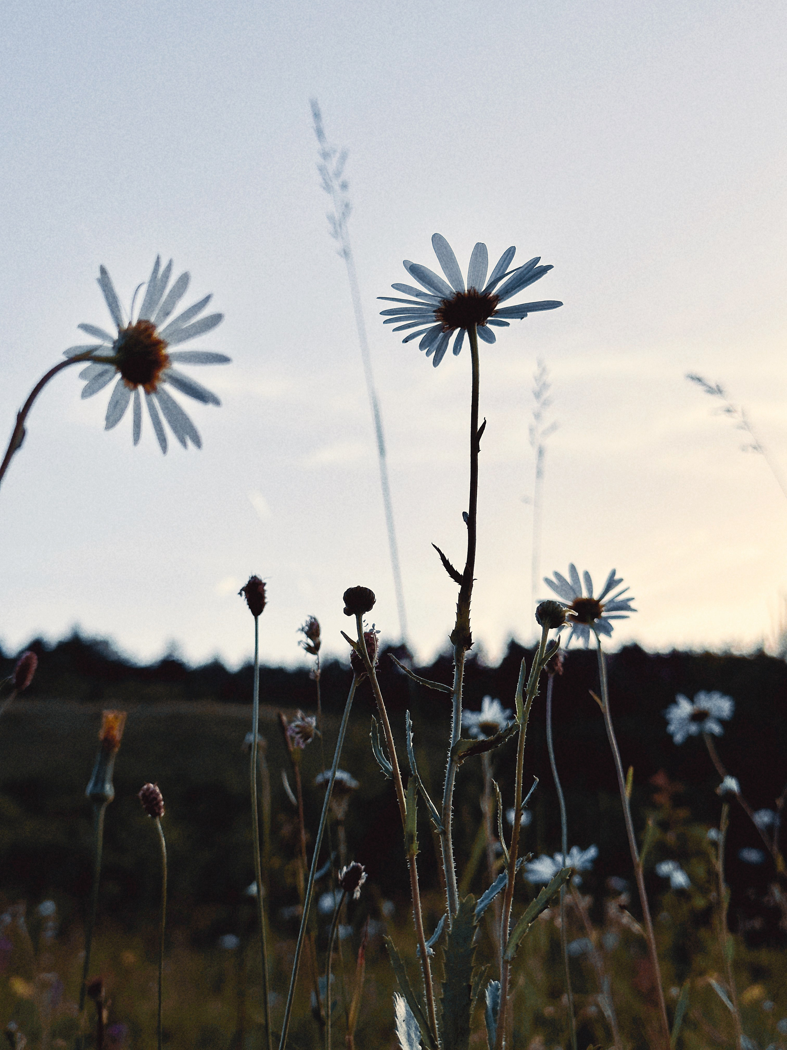 Флора и фауна. Смотри, красота!