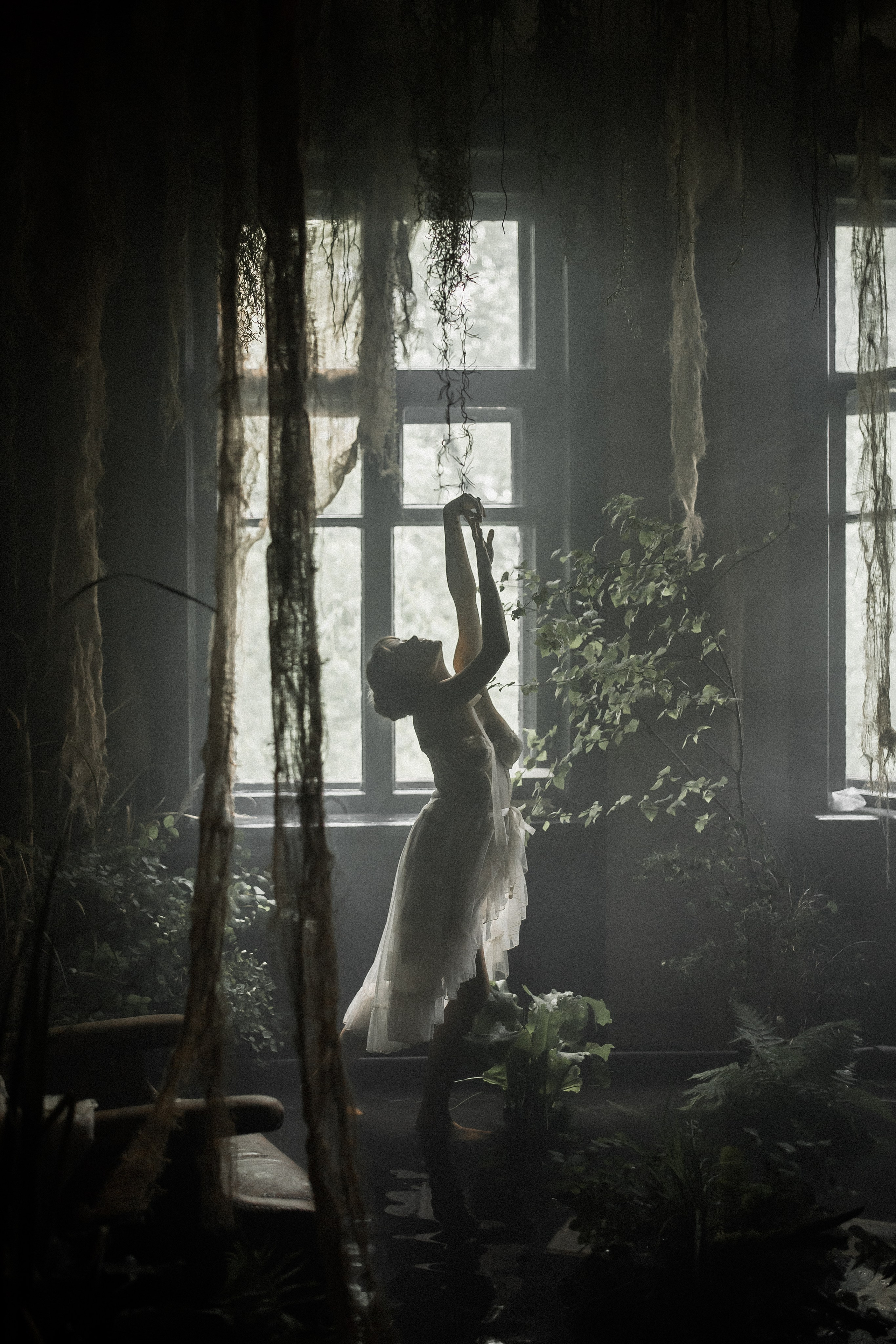 «Лебединое озеро». Твой проводник в мир ушедших эпох, романтики и женственности