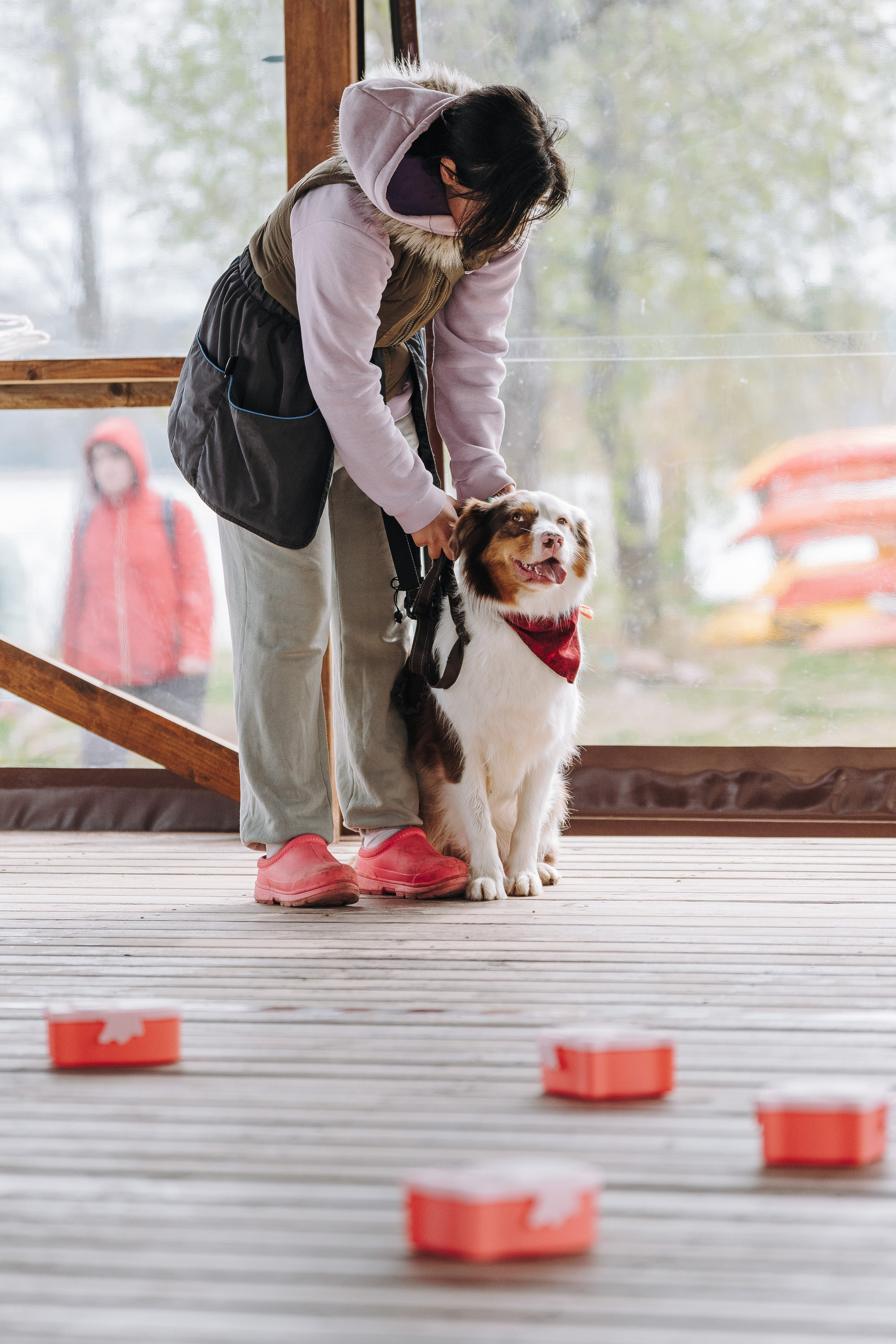 Соревнования по ноузворку в Лосево. Фотограф анималист в Спб недорого Олеся Майорова
