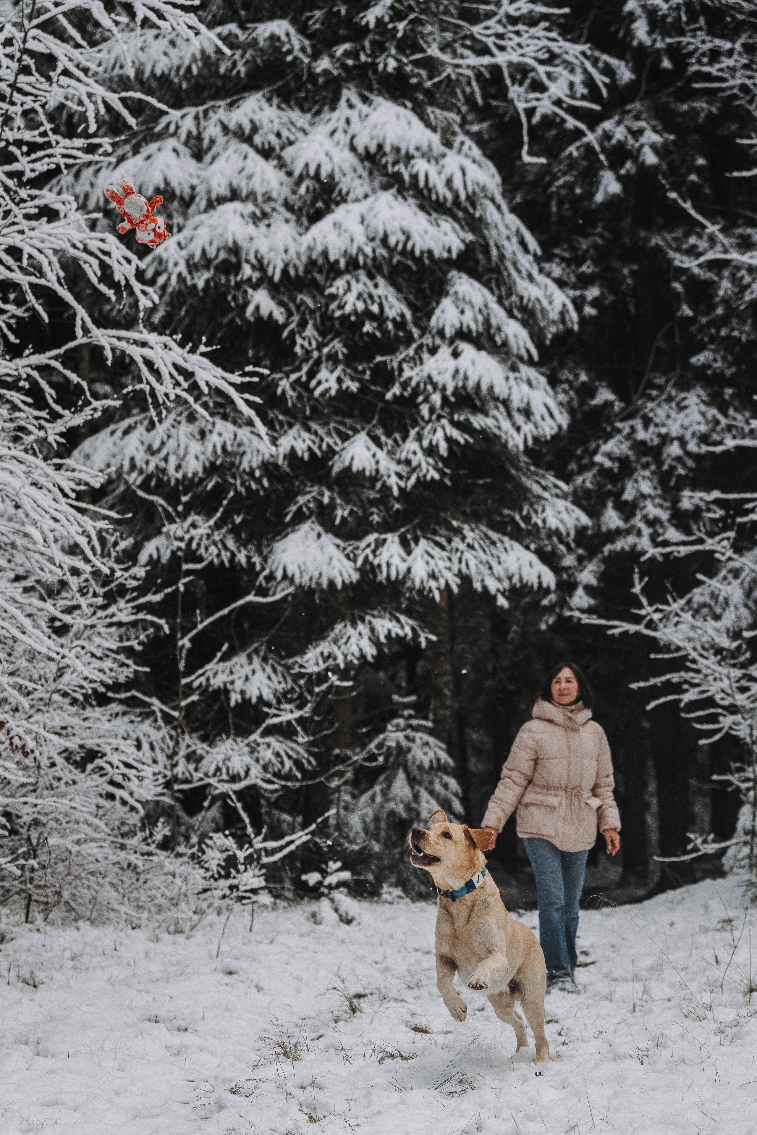 Аня и Честер. Фотограф анималист в Спб недорого Олеся Майорова