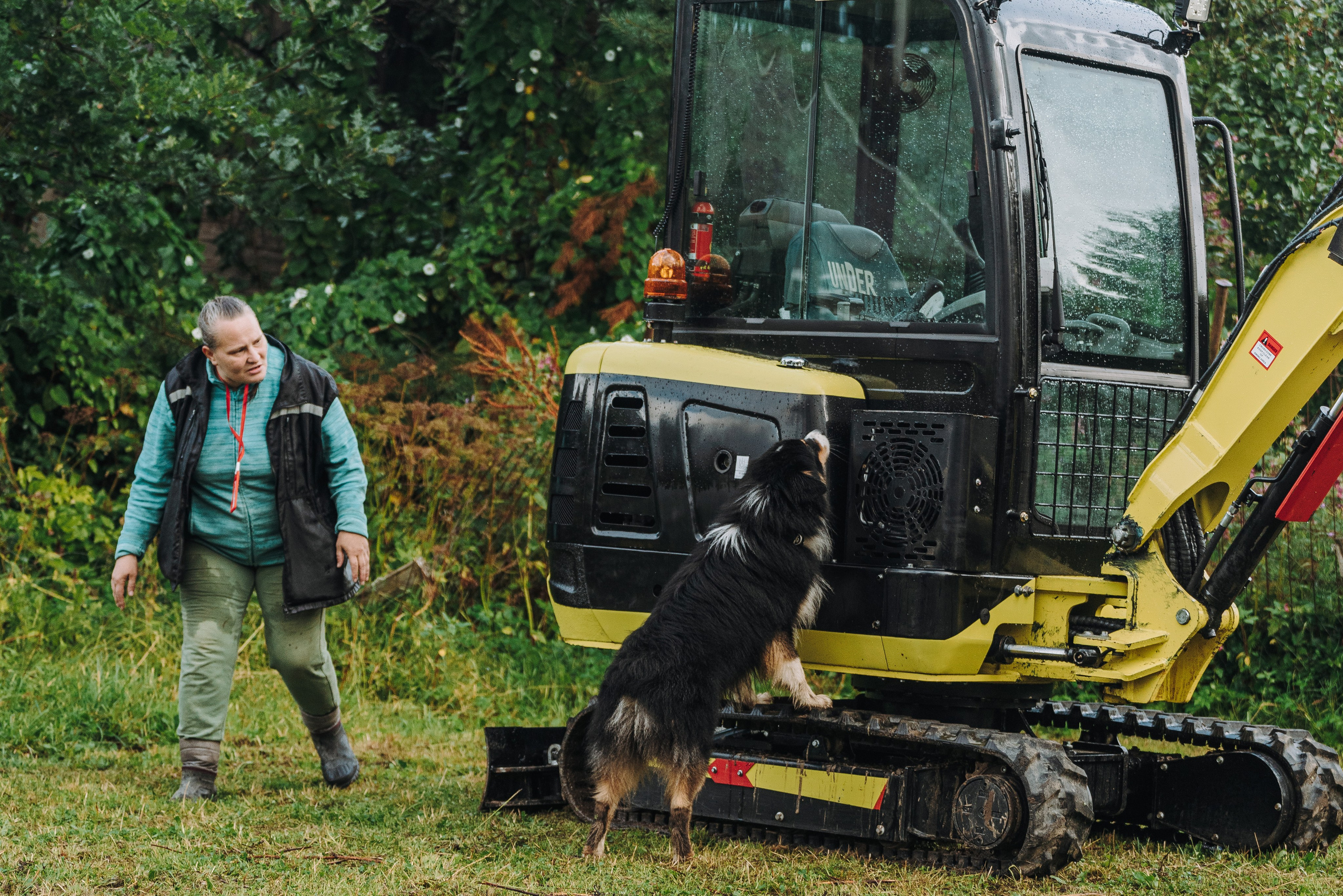 Соревнования по ноузворку в Новожилово. Фотограф анималист в Спб недорого Олеся Майорова