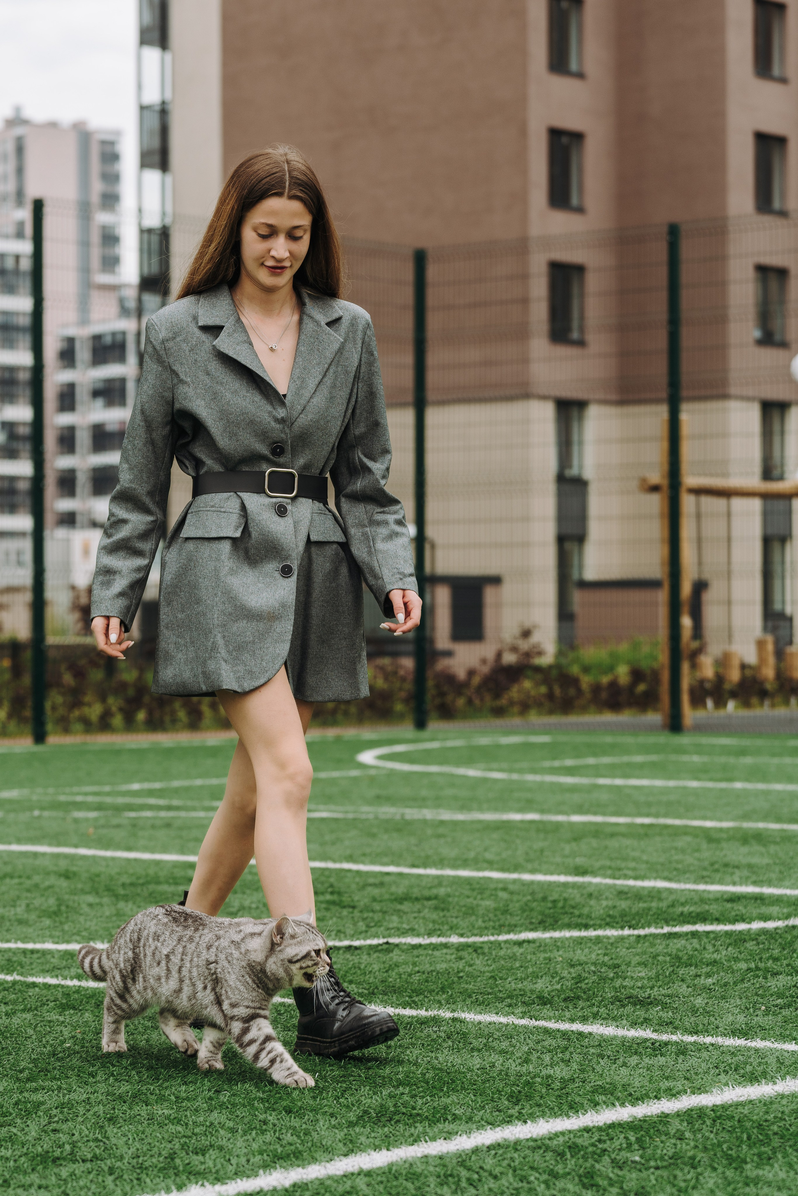 Портфолио кошки, фотограф Олеся Майрова. Фотограф анималист в Спб недорого Олеся Майорова