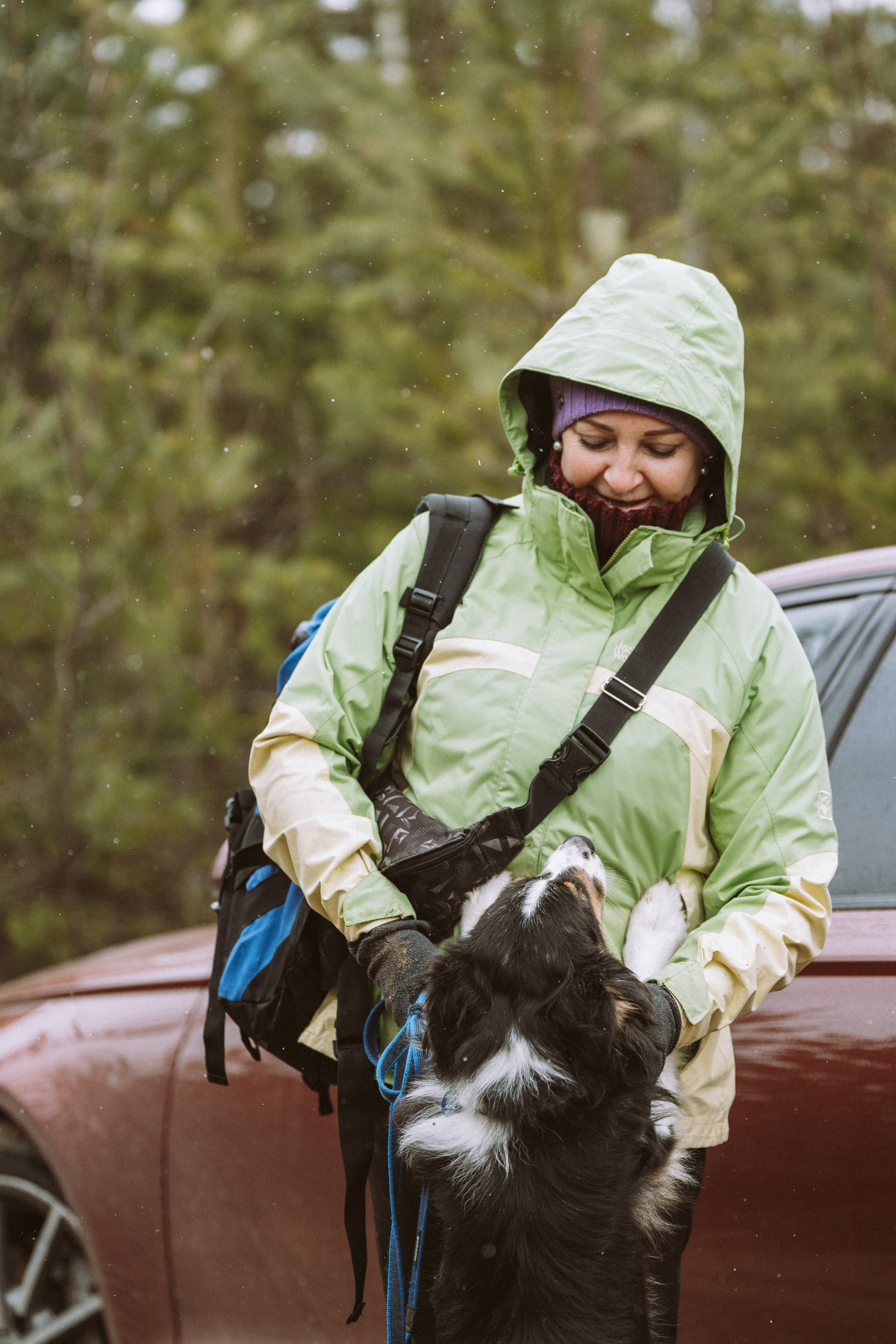 Дог трекинг к финскому хутору. Фотограф анималист в Спб недорого Олеся Майорова