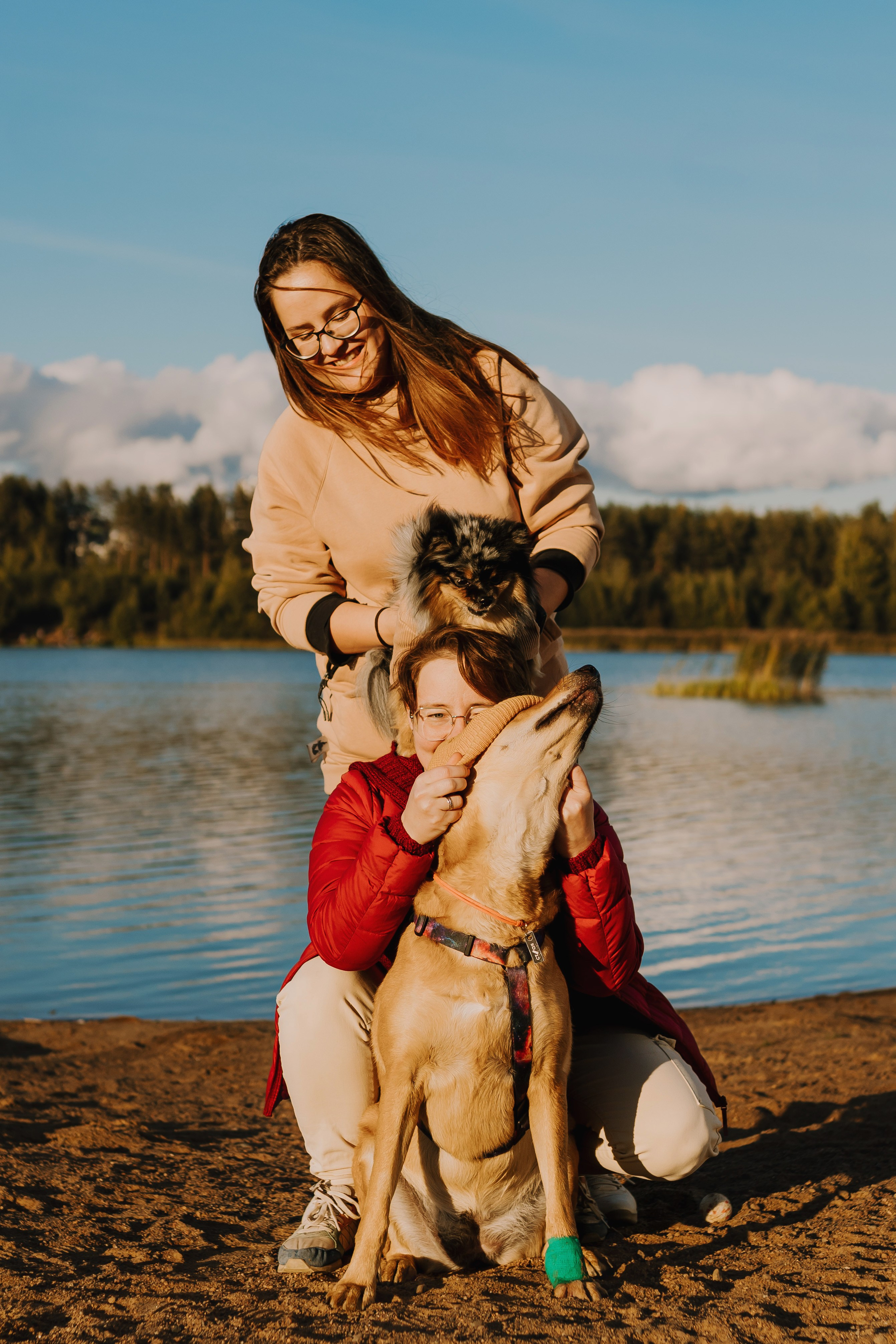 Семейная фотосессия с двумя собаками на закате. Фотограф анималист в Спб недорого Олеся Майорова