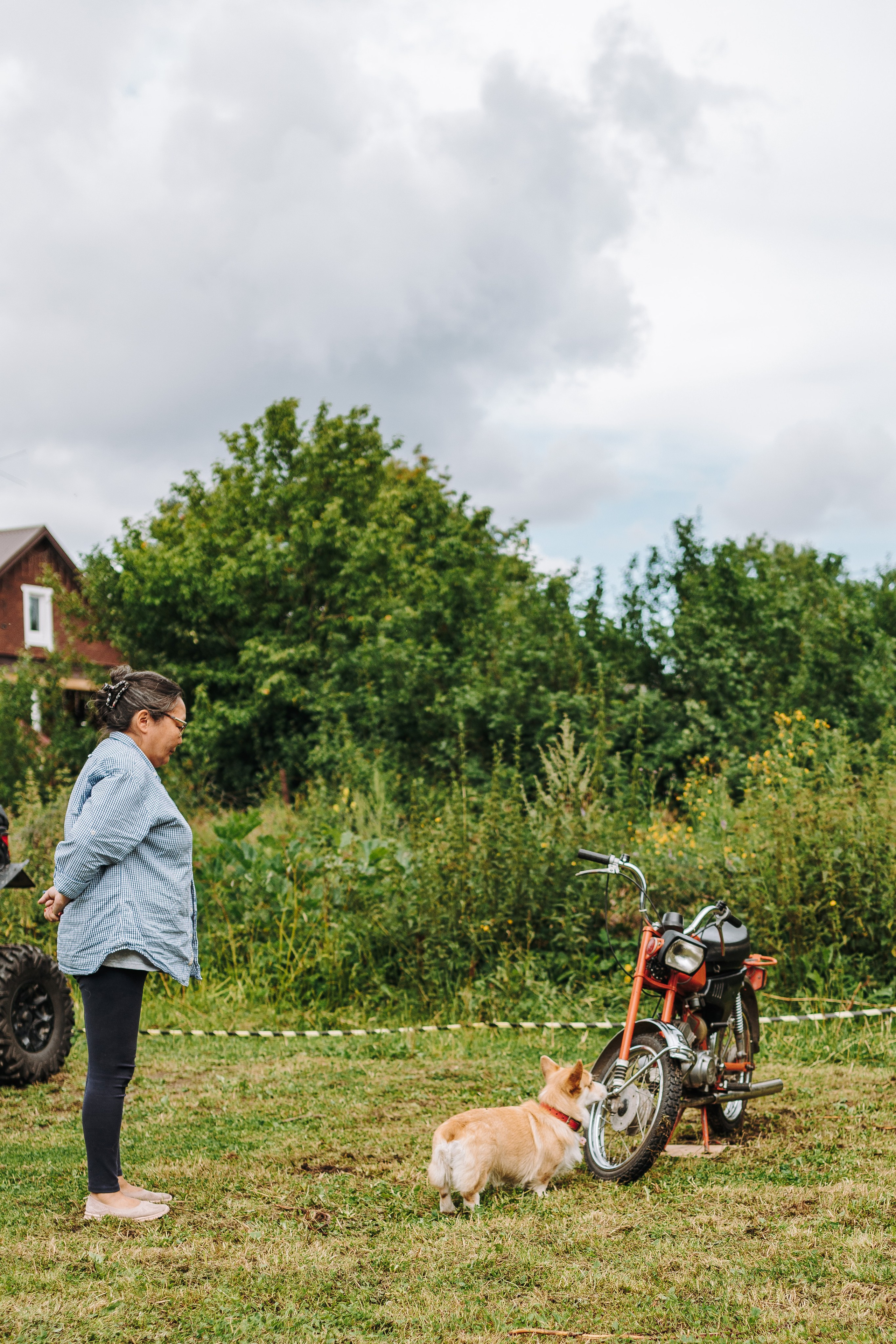 Соревнования по ноузворку в Новожилово. Фотограф анималист в Спб недорого Олеся Майорова