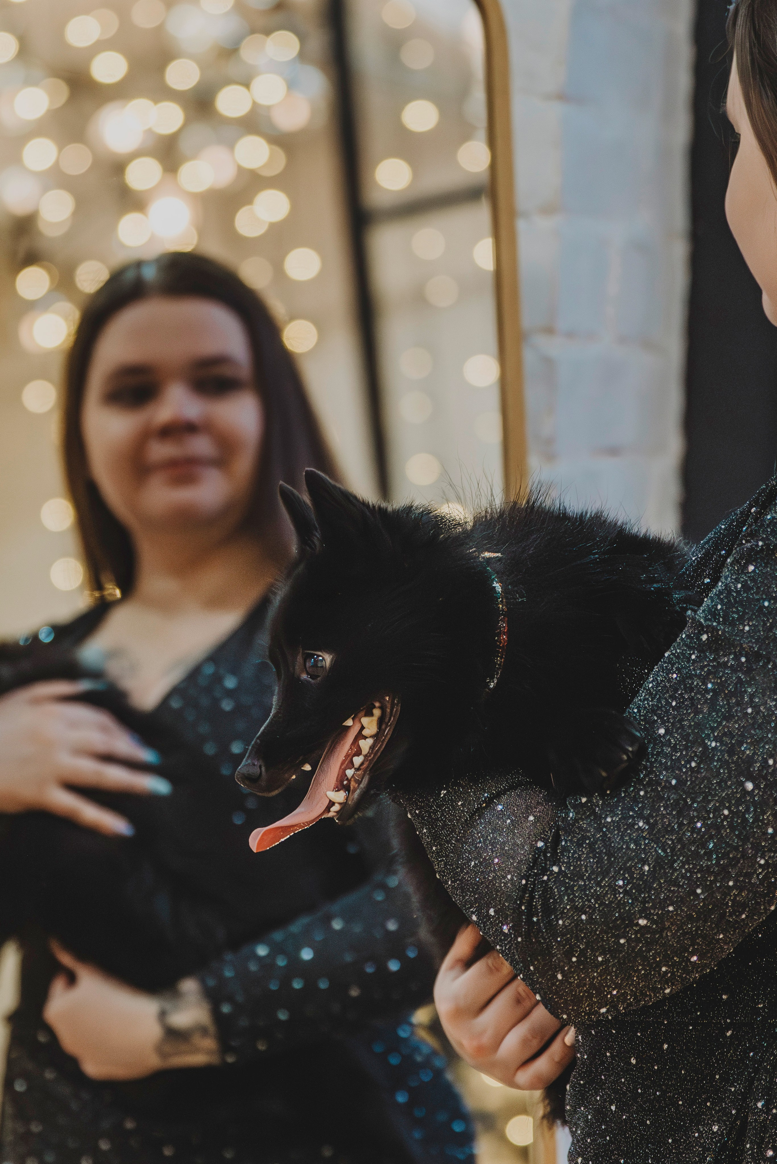 Аня, Андуин и Тесс. Фотограф анималист в Спб недорого Олеся Майорова