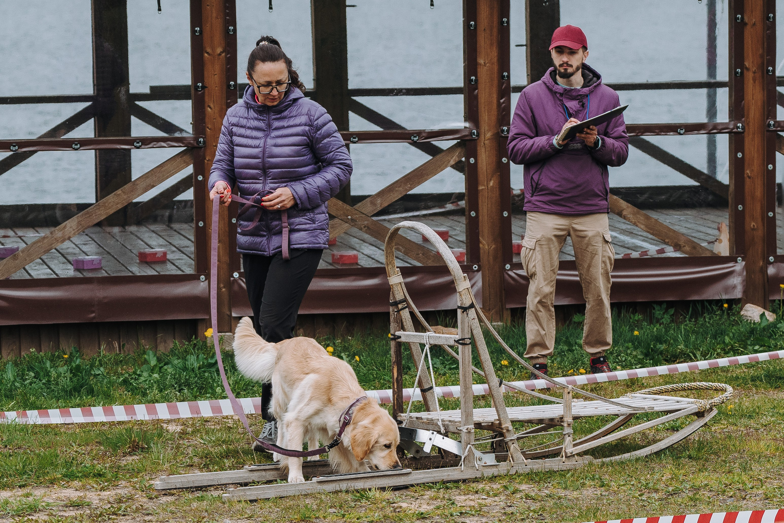Соревнования по ноузворку в Лосево. Фотограф анималист в Спб недорого Олеся Майорова