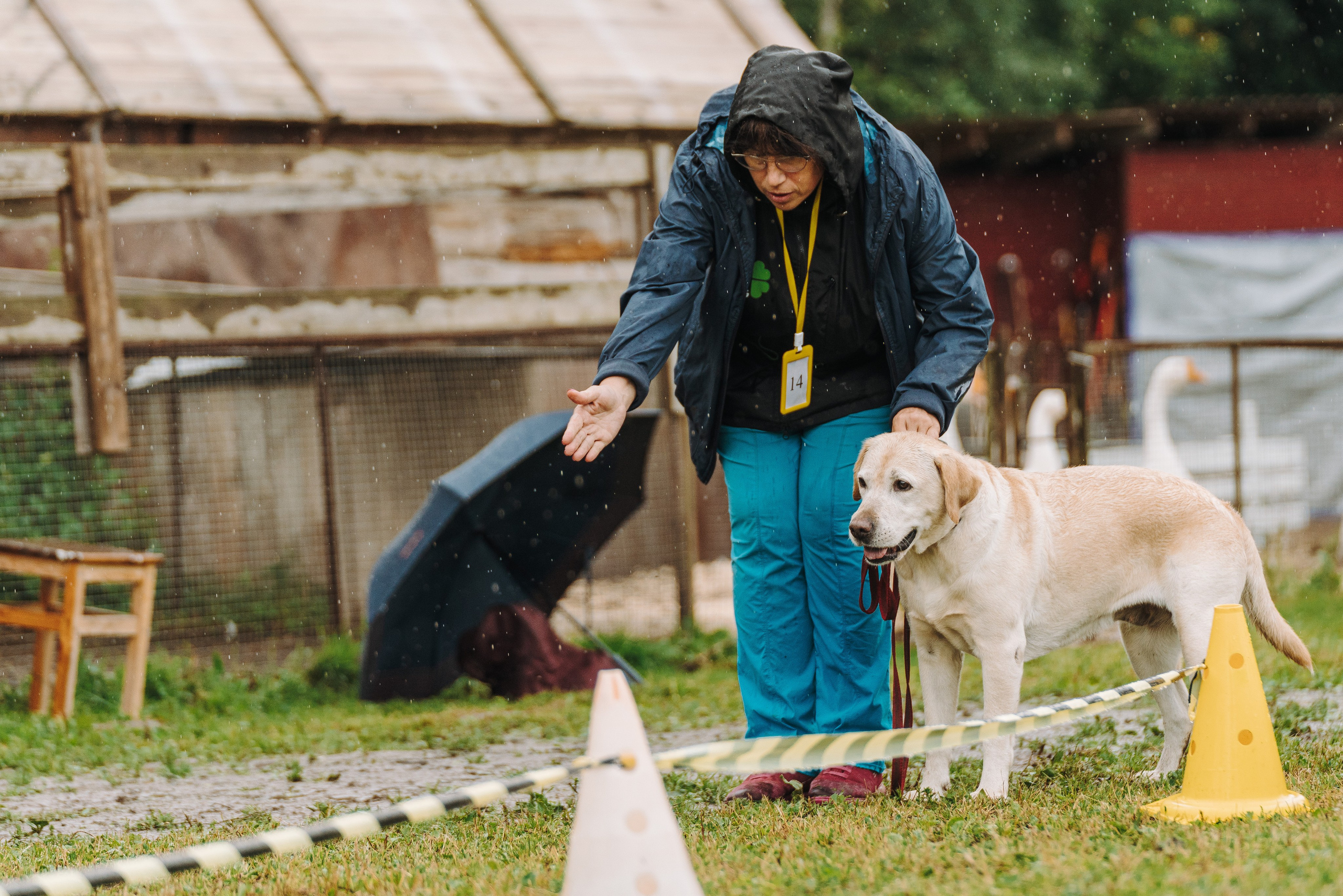 Соревнования по ноузворку в Новожилово. Фотограф анималист в Спб недорого Олеся Майорова