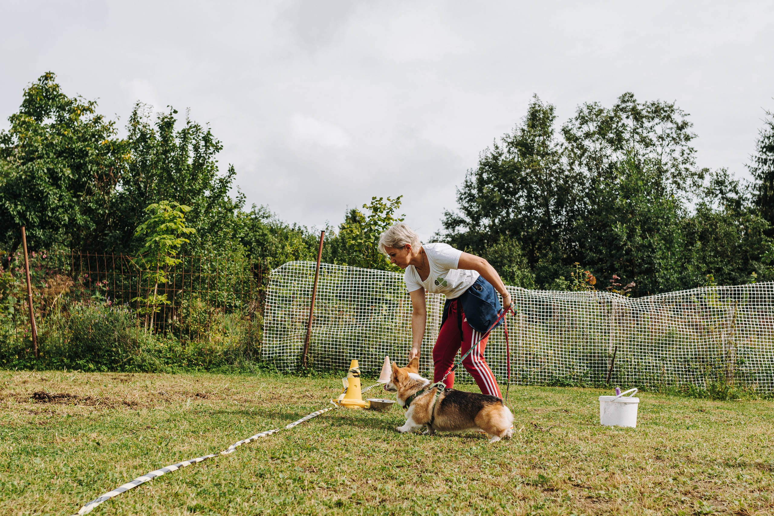 Соревнования по ноузворку в Новожилово. Фотограф анималист в Спб недорого Олеся Майорова