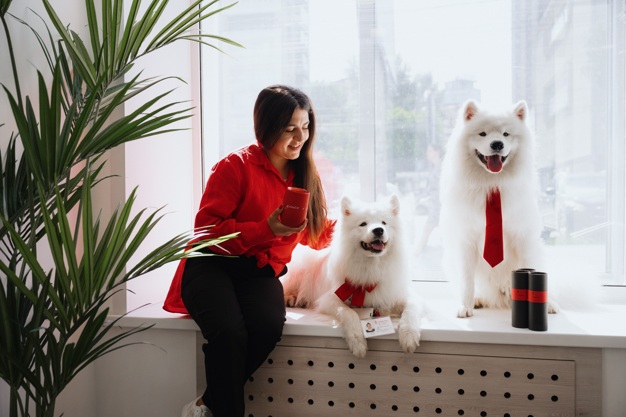 Альфа банк Карла Маркса 55. Фотограф Кристина Тумаева. Самоед Новосибирск