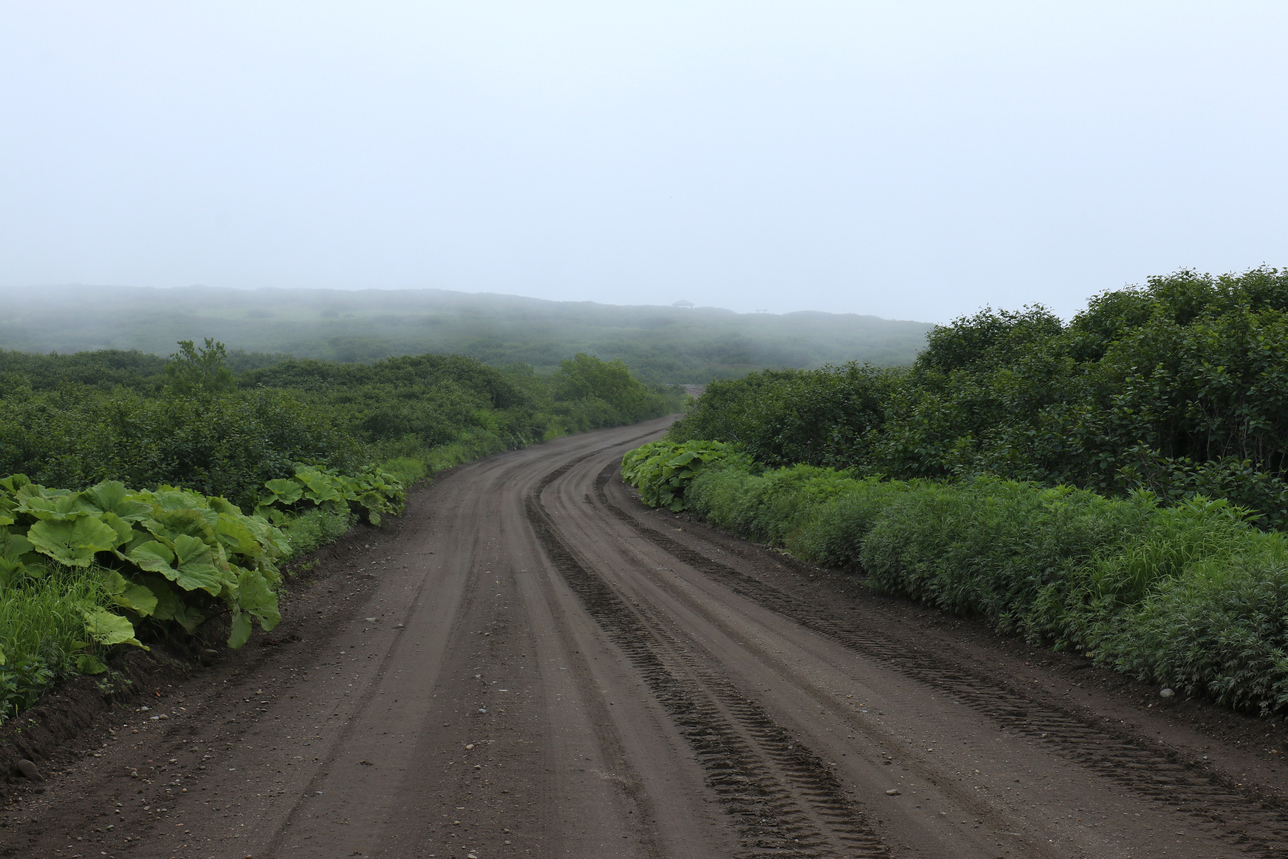 Камчатка и о. Парамушир. Июль 2024. Путешественник-фотограф из Санкт-Петербурга Татьяна Свистулина