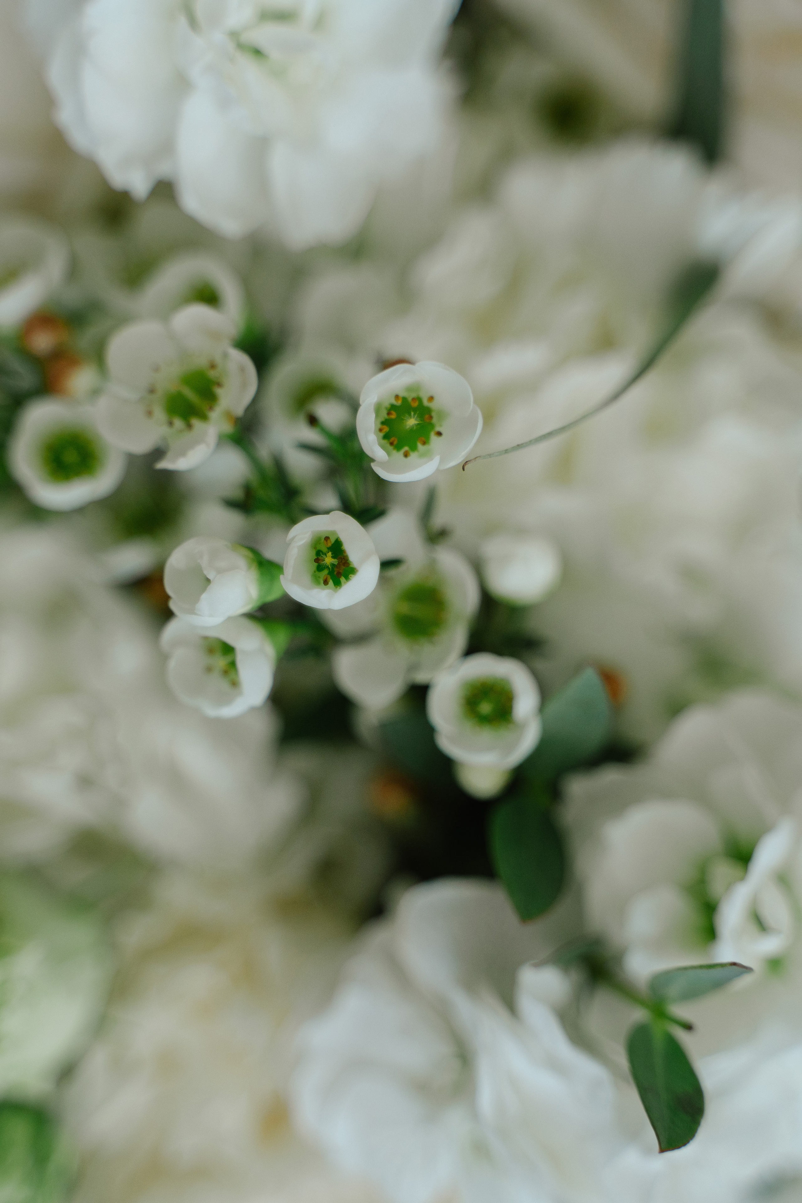 Алена и Валерий. Фотограф в Нижнем Новгороде Александр Кудрявцев