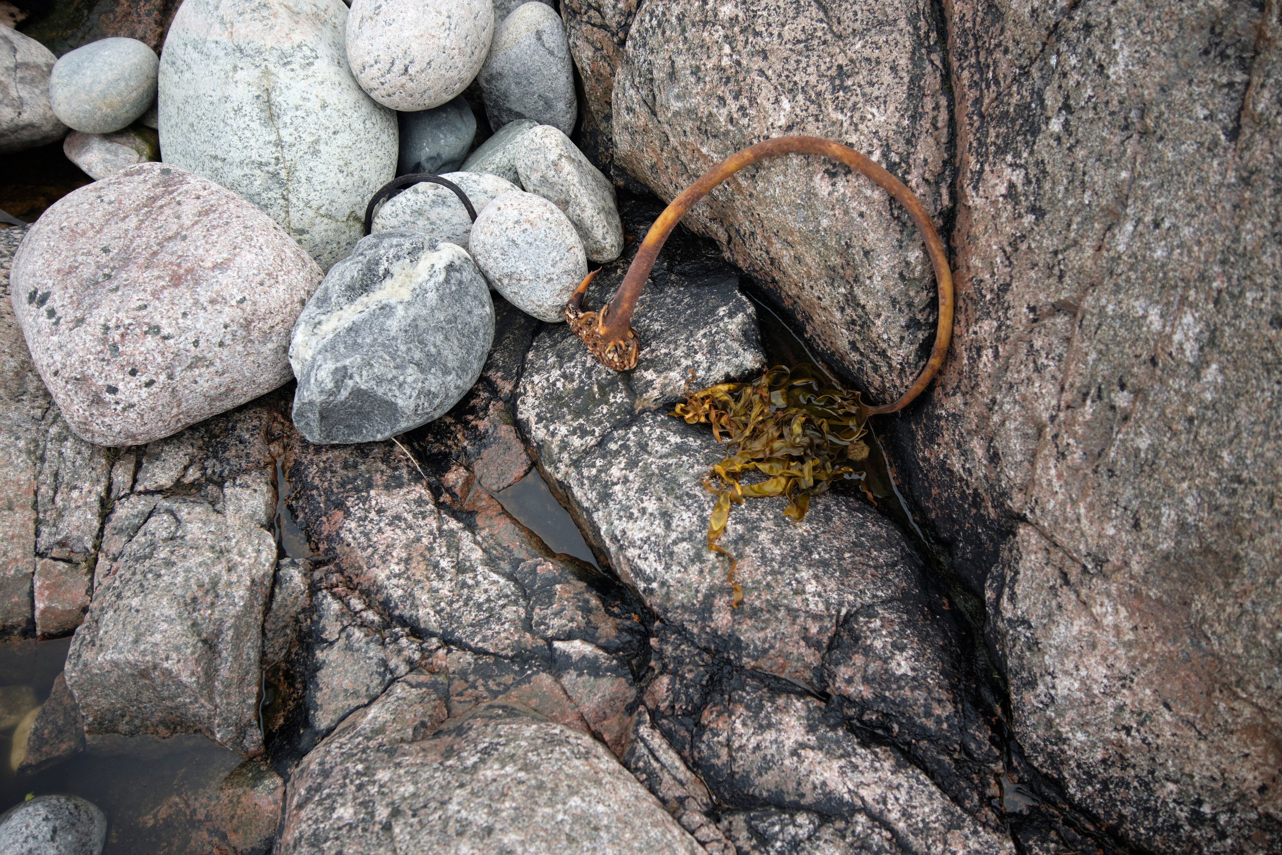 Путешествие в Териберку. Елена Павленко. Фотограф. Москва